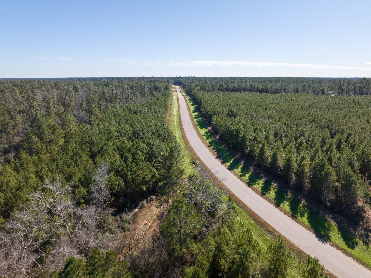 15715 Ridge Rock Road Property Photo 7