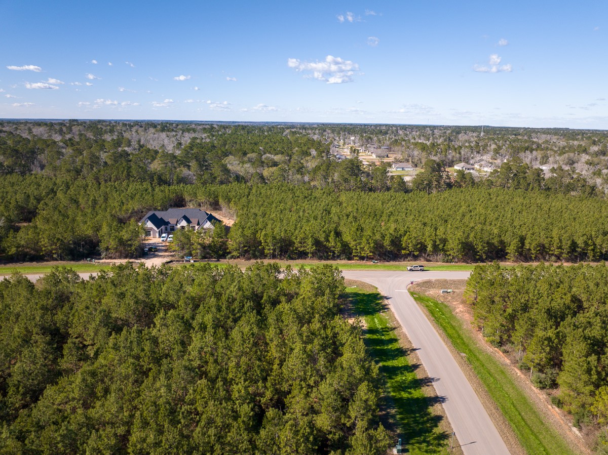 15715 Ridge Rock Road Property Photo 8