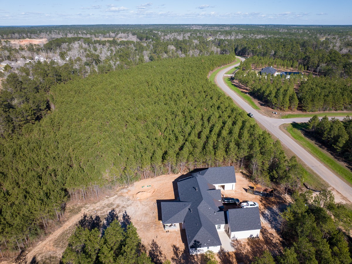 15715 Ridge Rock Road Property Photo 9