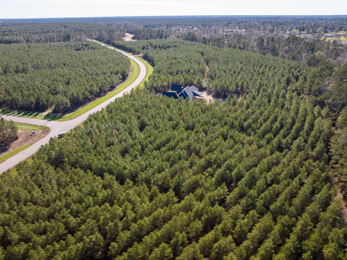 15715 Ridge Rock Road Property Photo 10