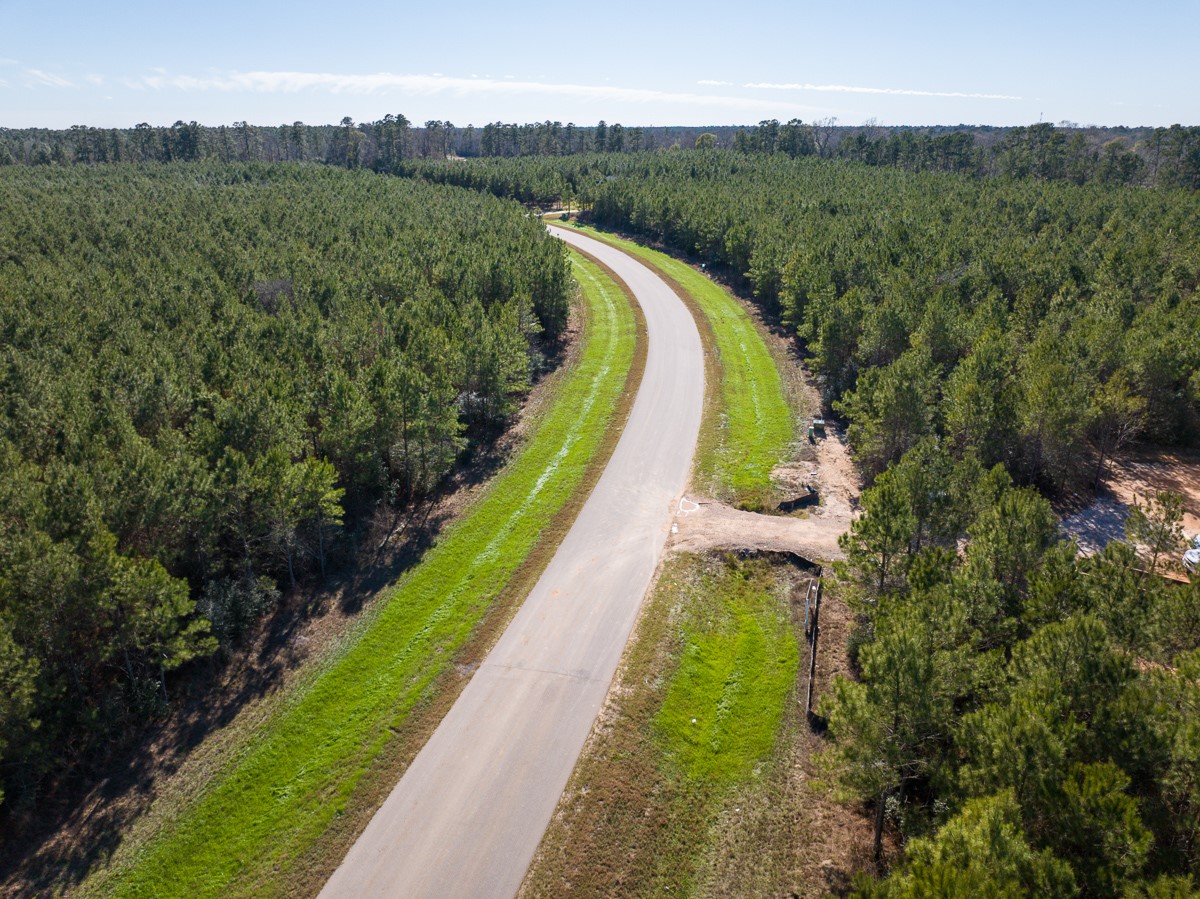 15715 Ridge Rock Road Property Photo 12