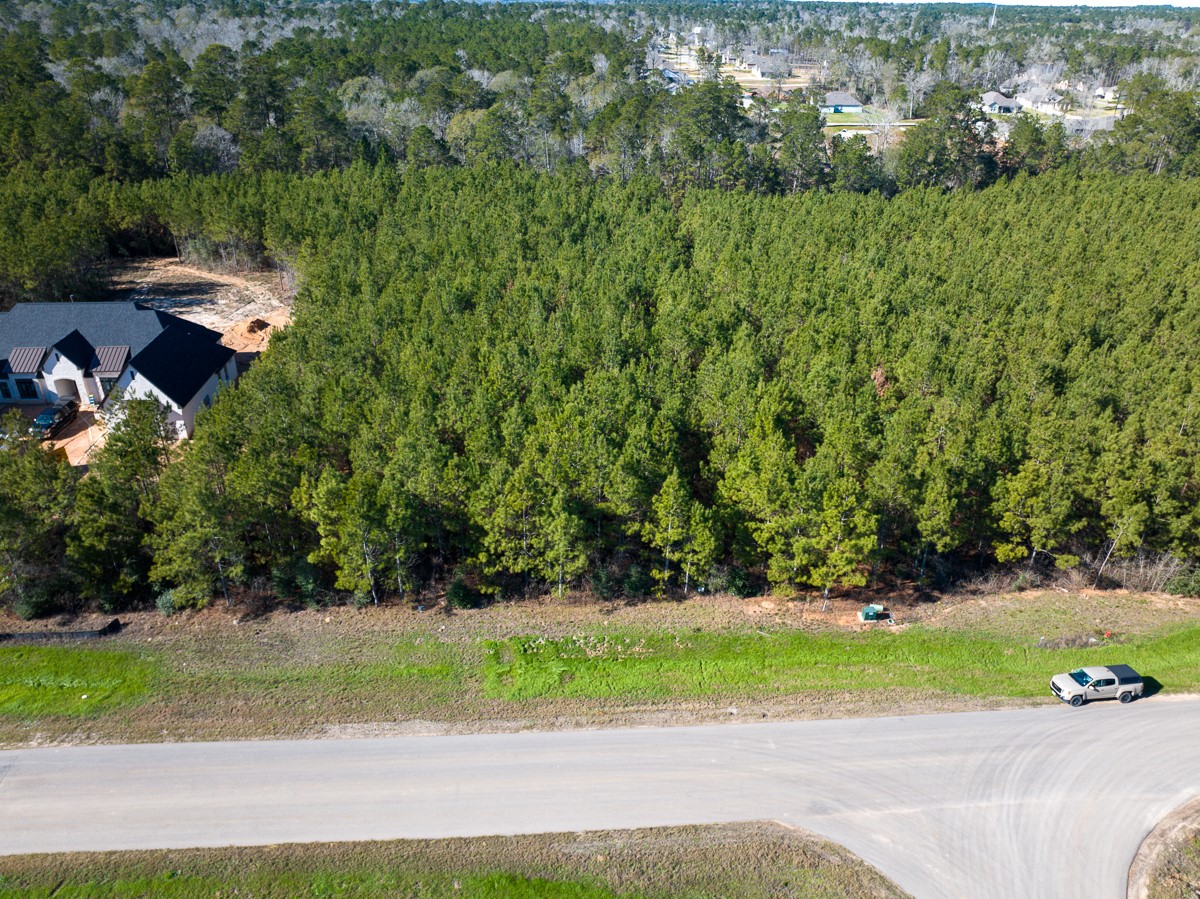 15715 Ridge Rock Road Property Photo 14