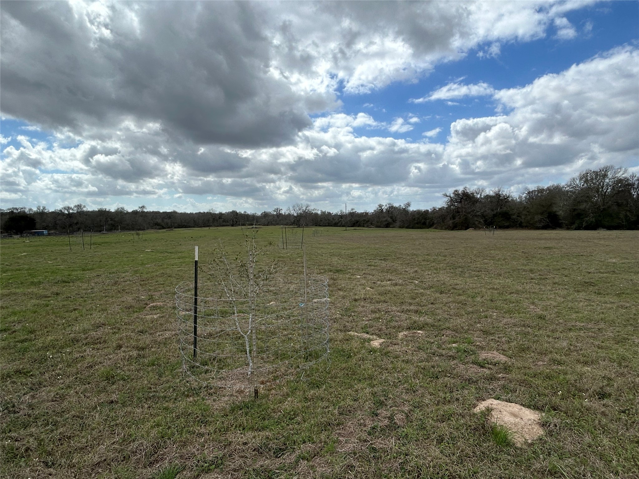 00000 Fm 1736 Property Photo 3