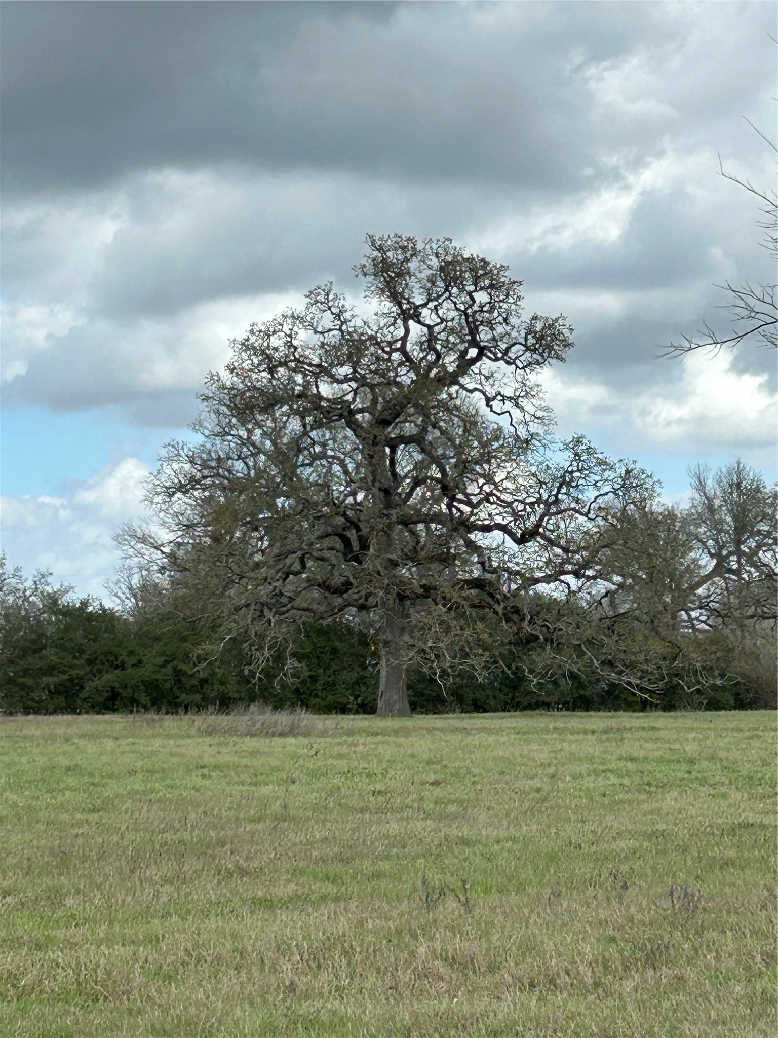 00000 Fm 1736 Property Photo 4