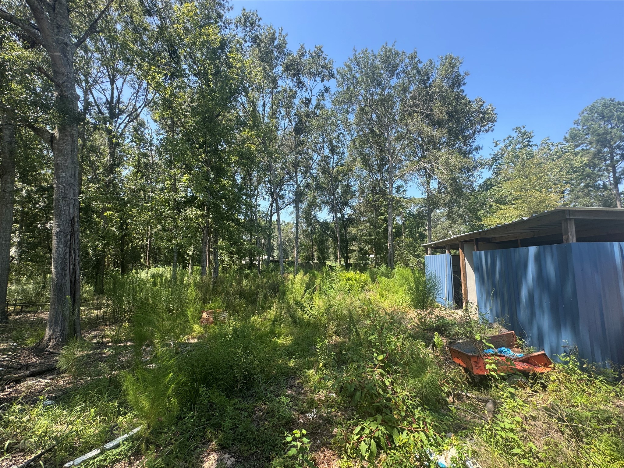 18201 Highway 242 Property Photo 9