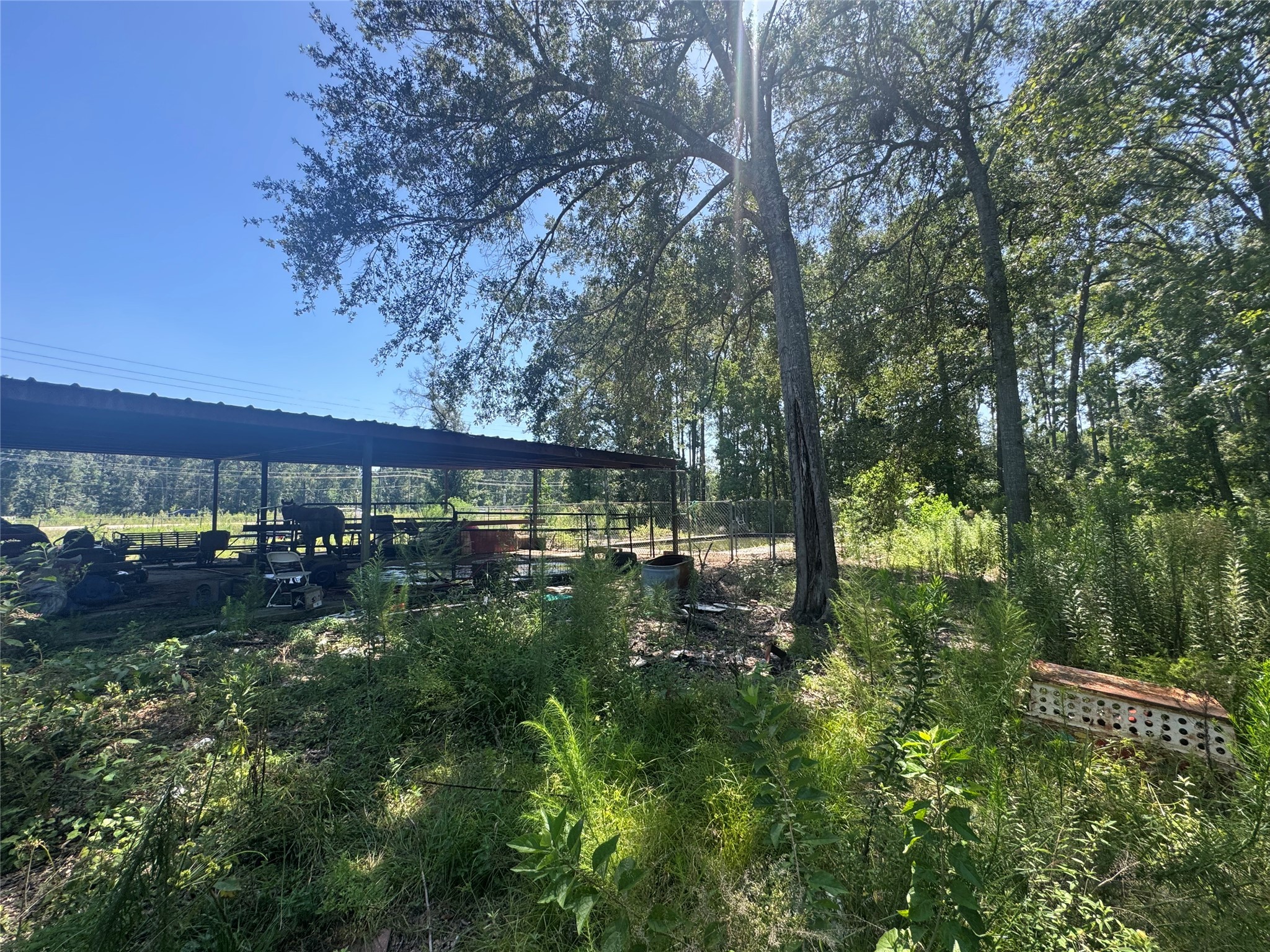 18201 Highway 242 Property Photo 13