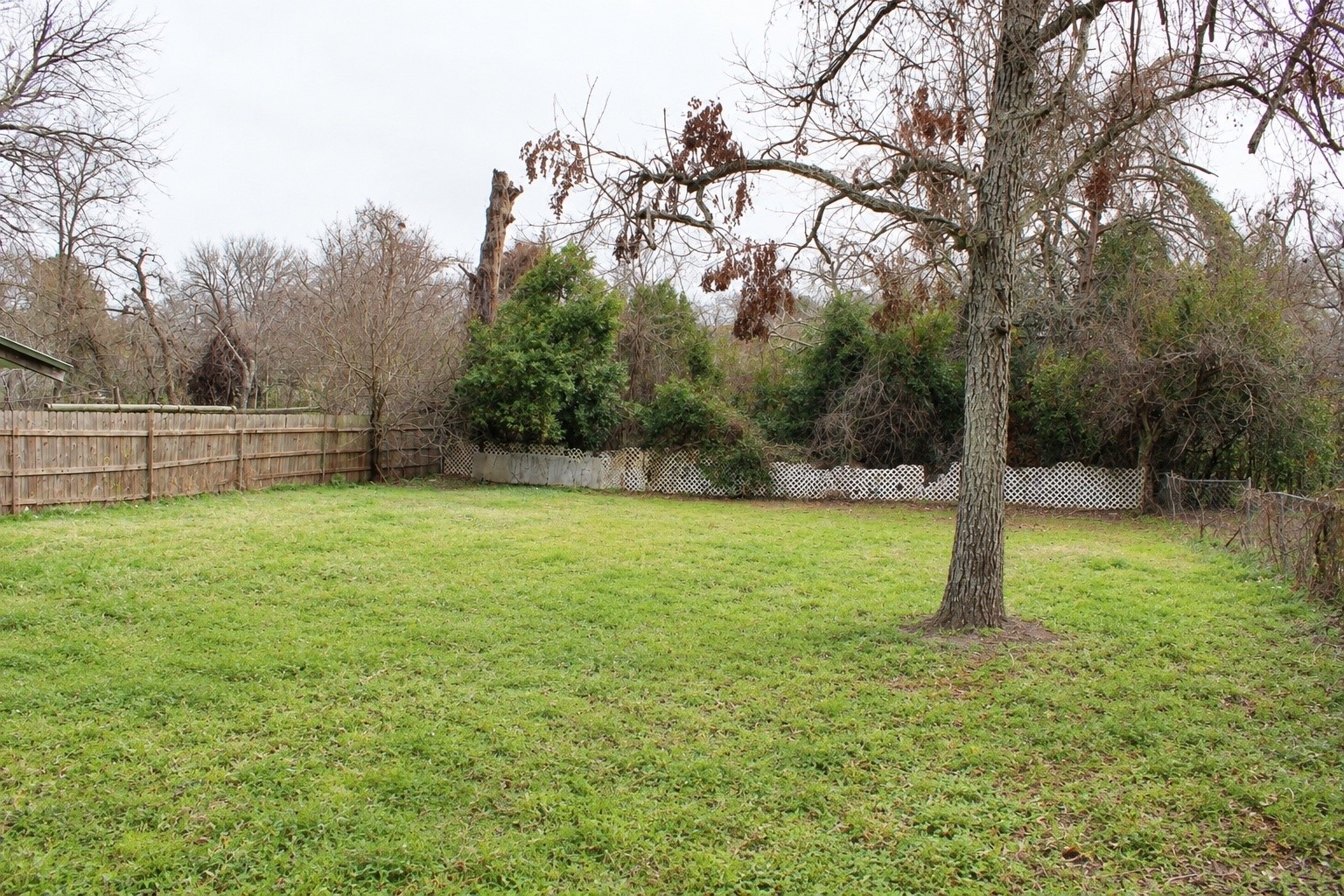 1006 Barnhill Property Photo 8