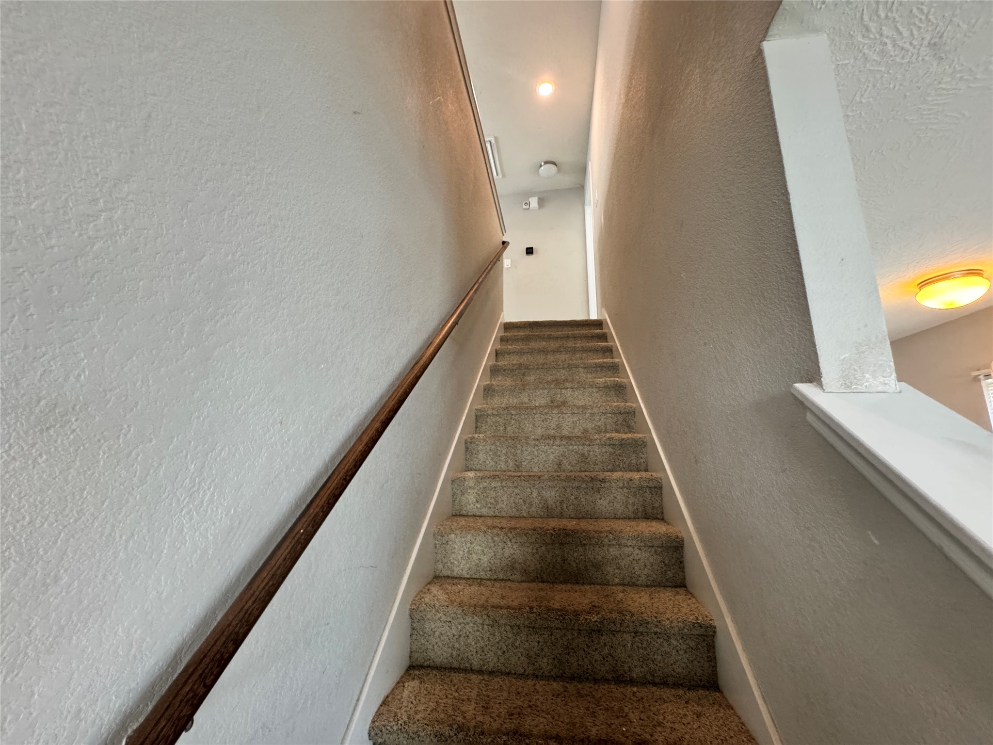 19248 Red Argan Court Property Photo 8