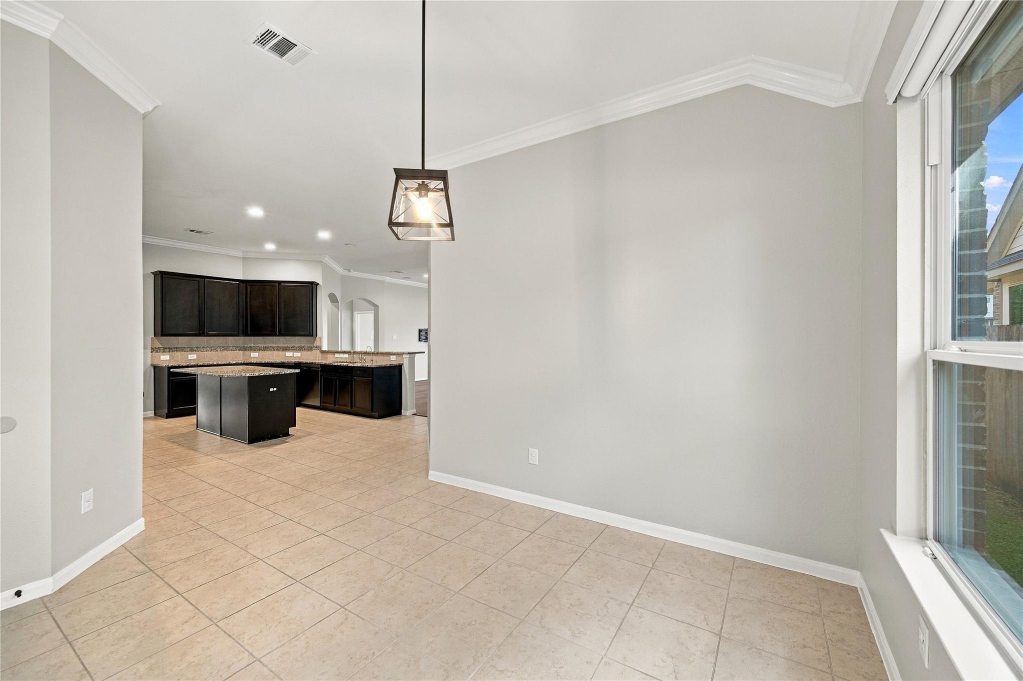 16510 Hamilton Pool Drive Property Photo 12