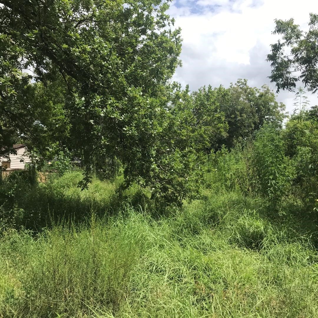 1207 Danube Street Property Photo 4