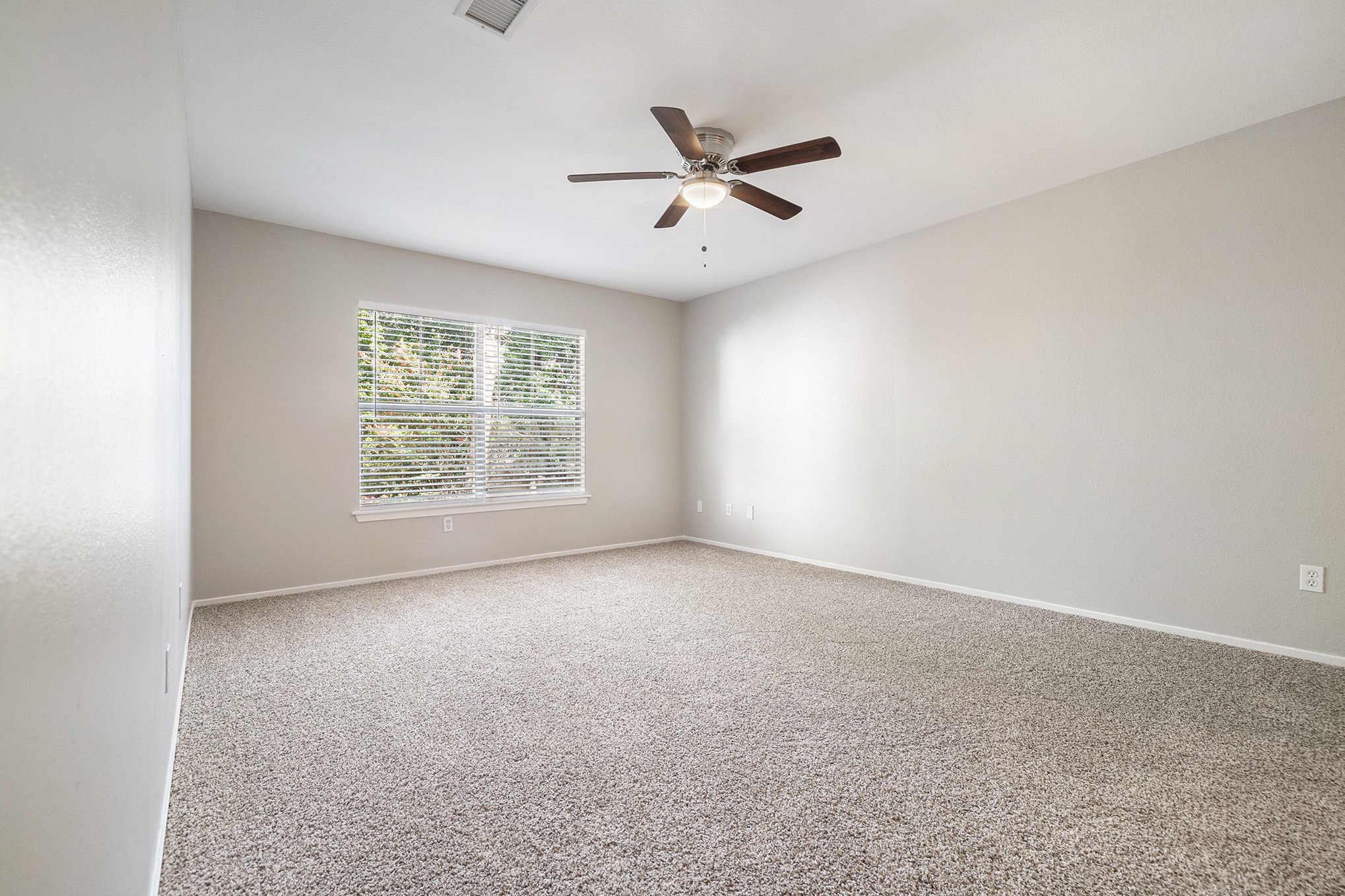 11 Fiddleleaf Court Property Photo 14