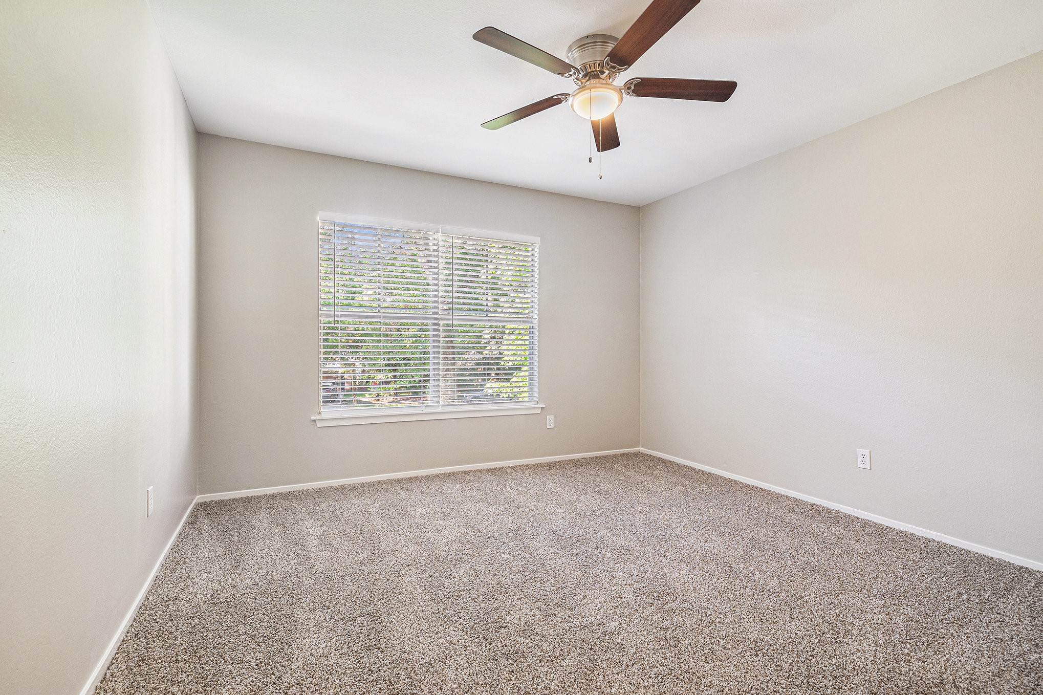 11 Fiddleleaf Court Property Photo 17