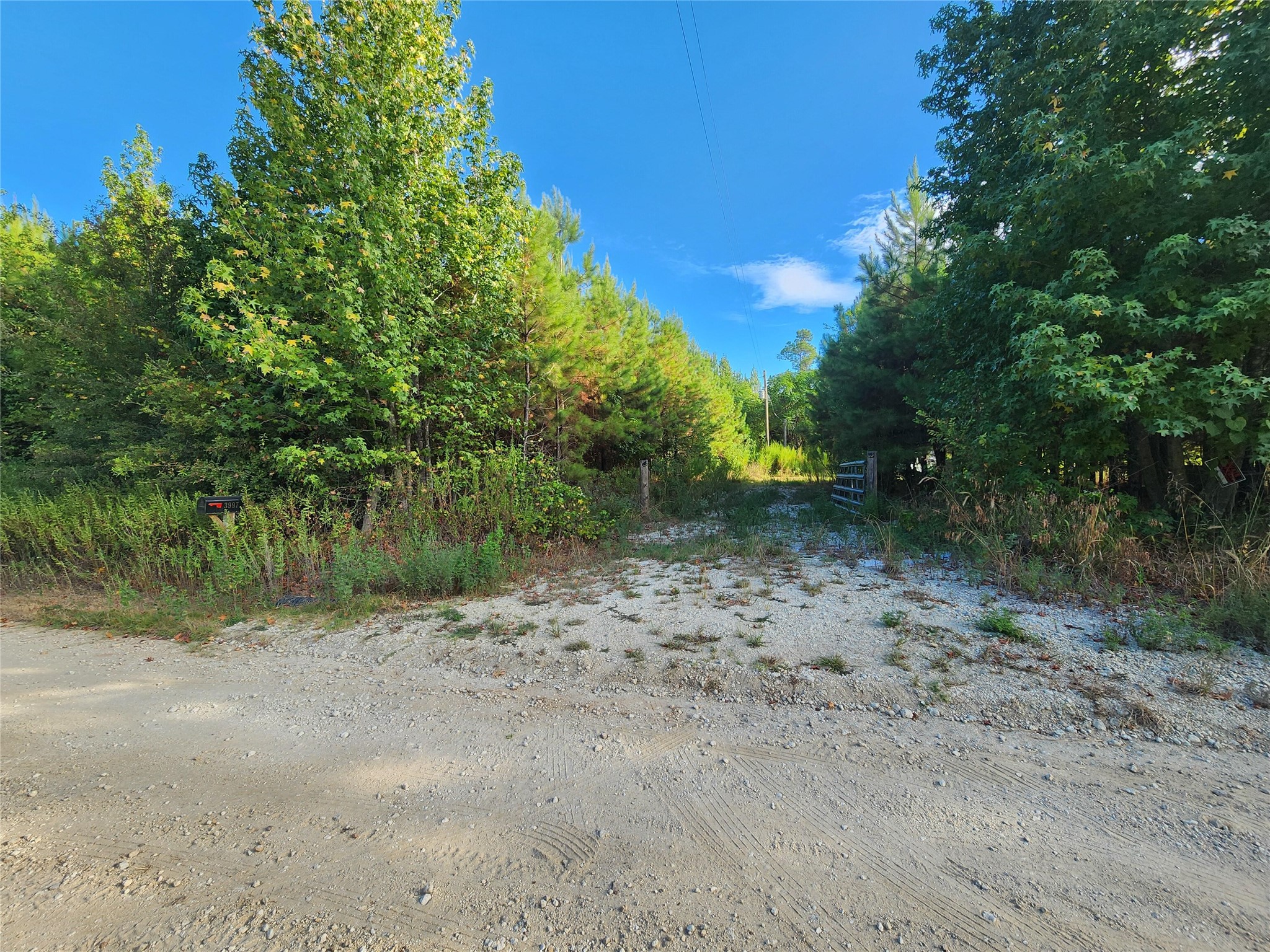 3997 E Fsr Property Photo 2