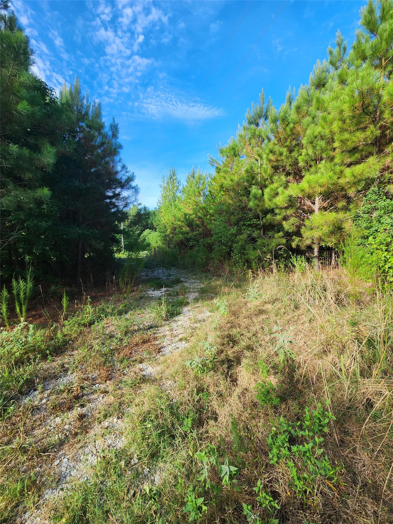 3997 E Fsr Property Photo 4