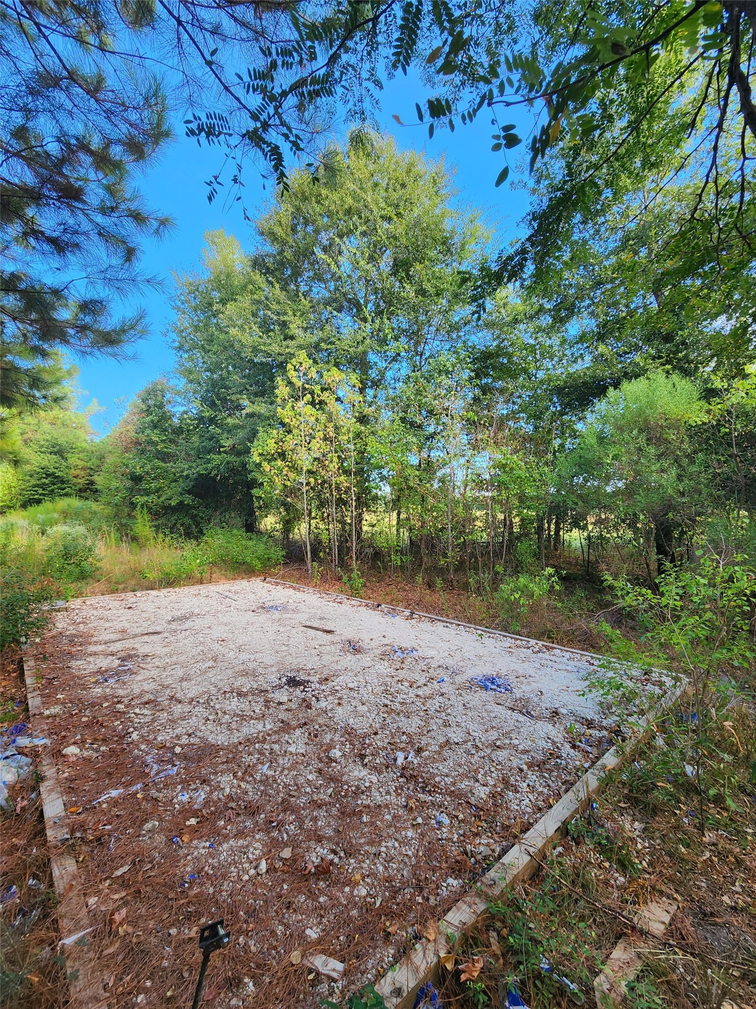 3997 E Fsr Property Photo 7