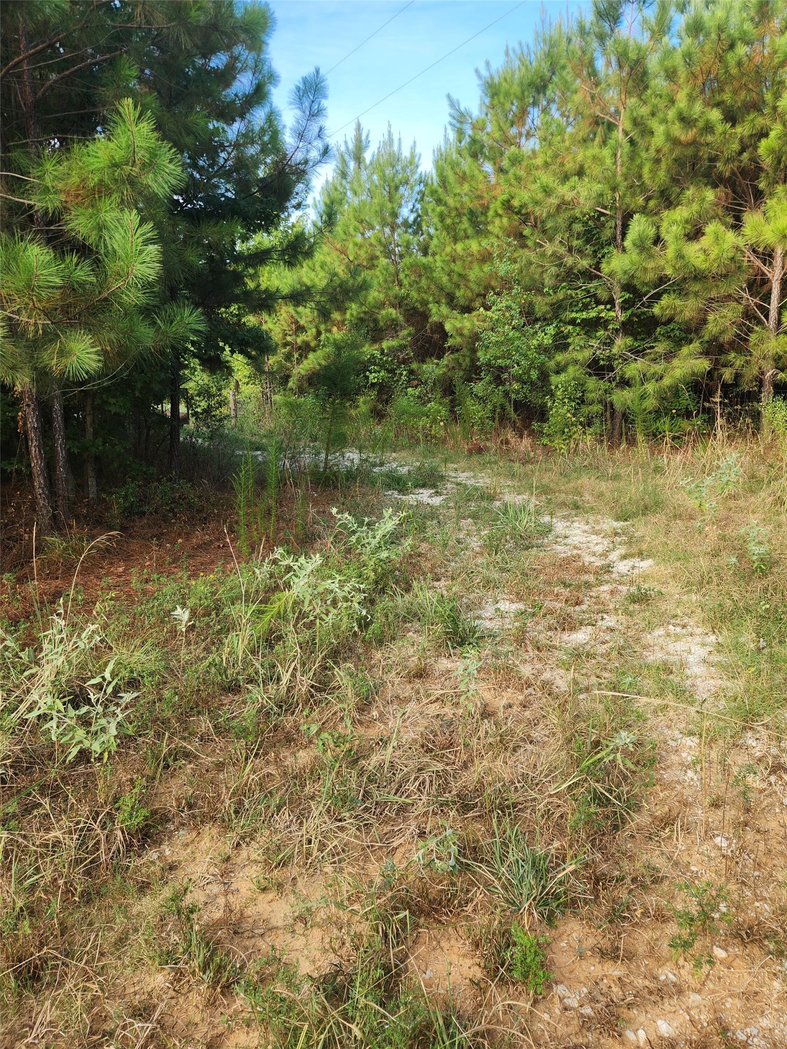 3997 E Fsr Property Photo 10