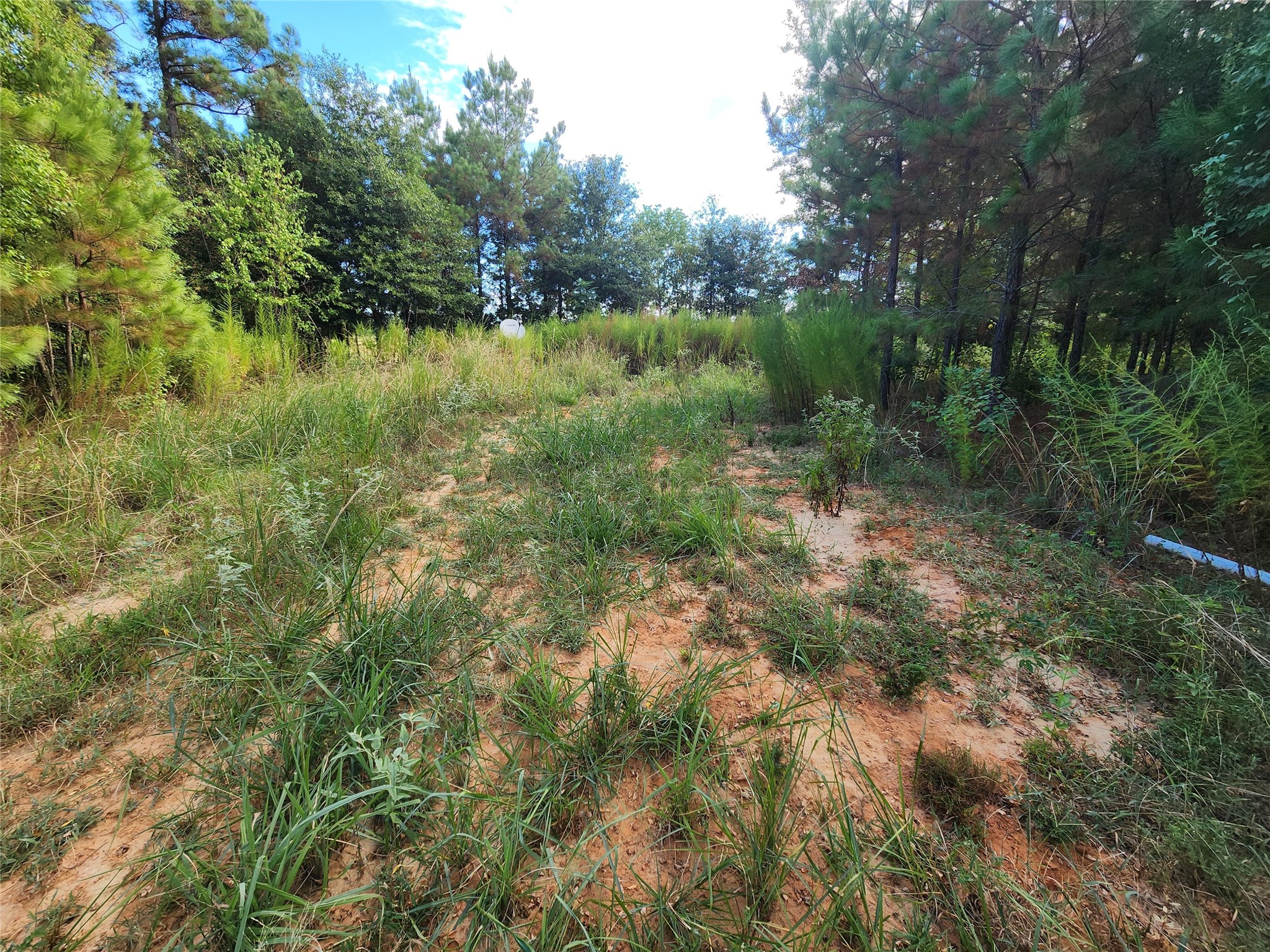 3997 E Fsr Property Photo 13
