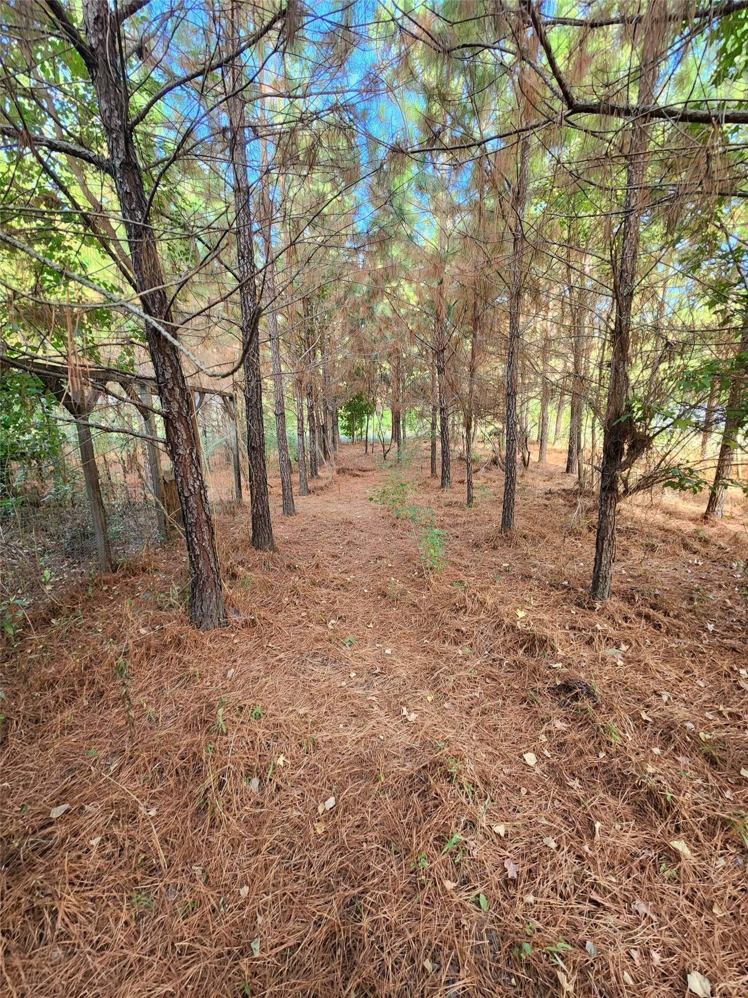 3997 E Fsr Property Photo 15