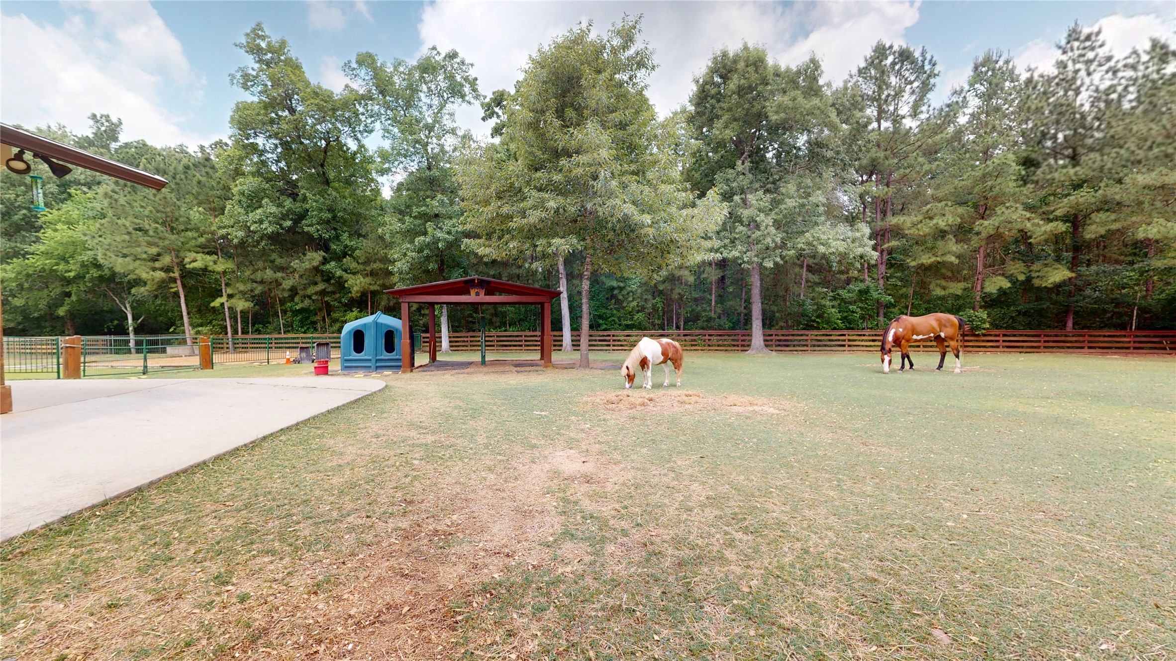 26166 Crown Ranch Blvd Property Photo 39
