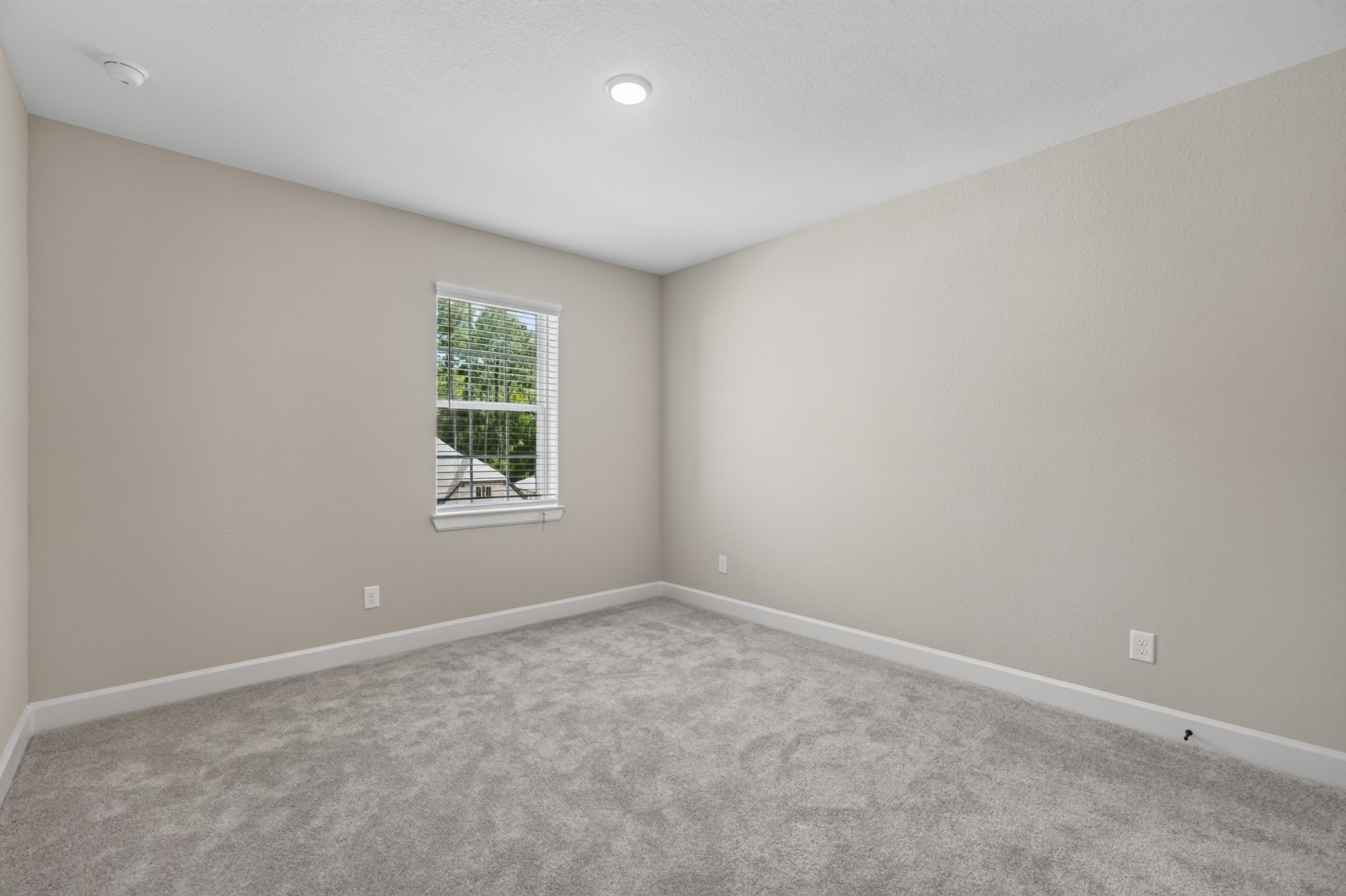 231 Painters Ridge Court Property Photo 38
