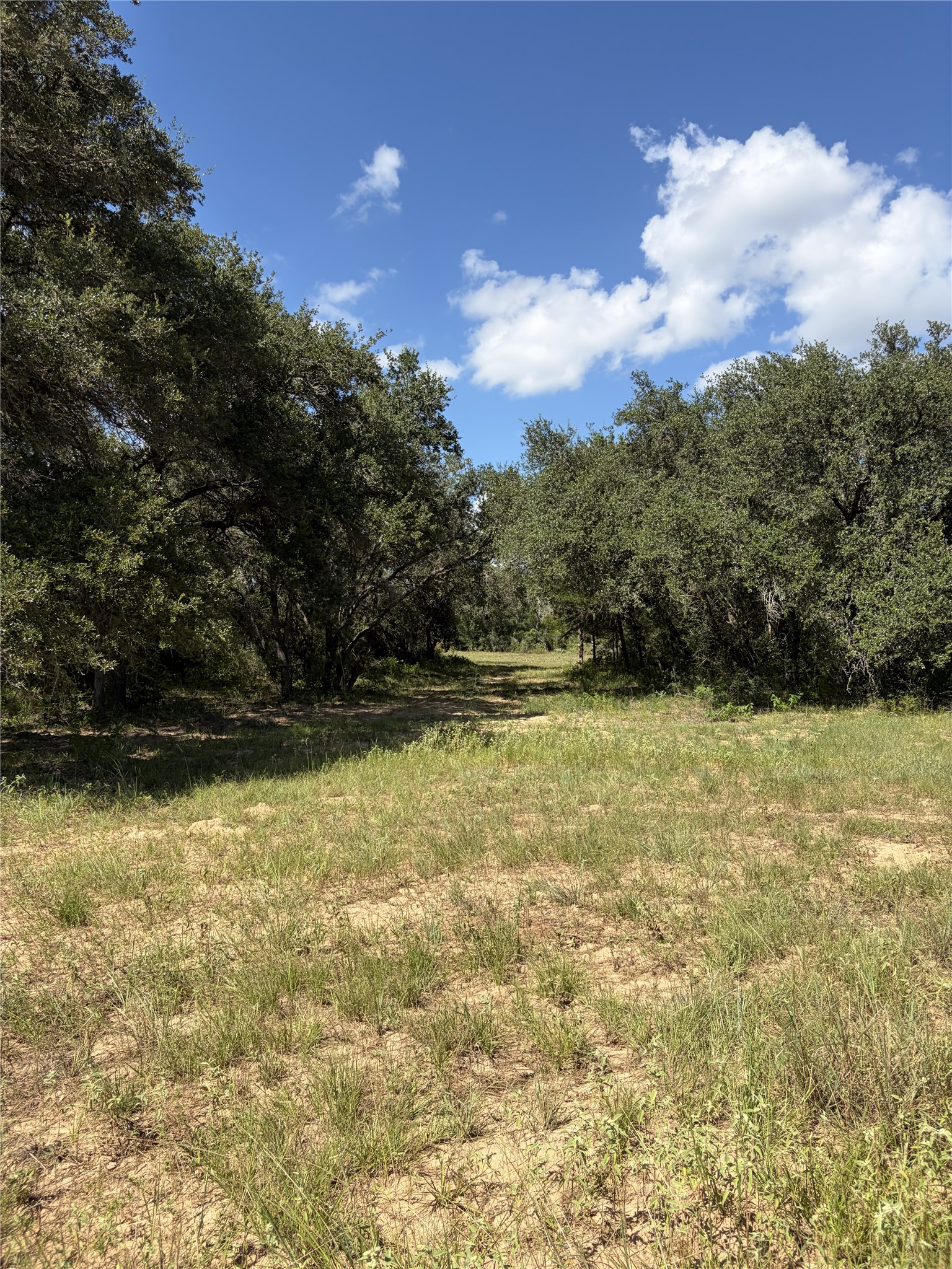 5796 County Road 122 Property Photo 18