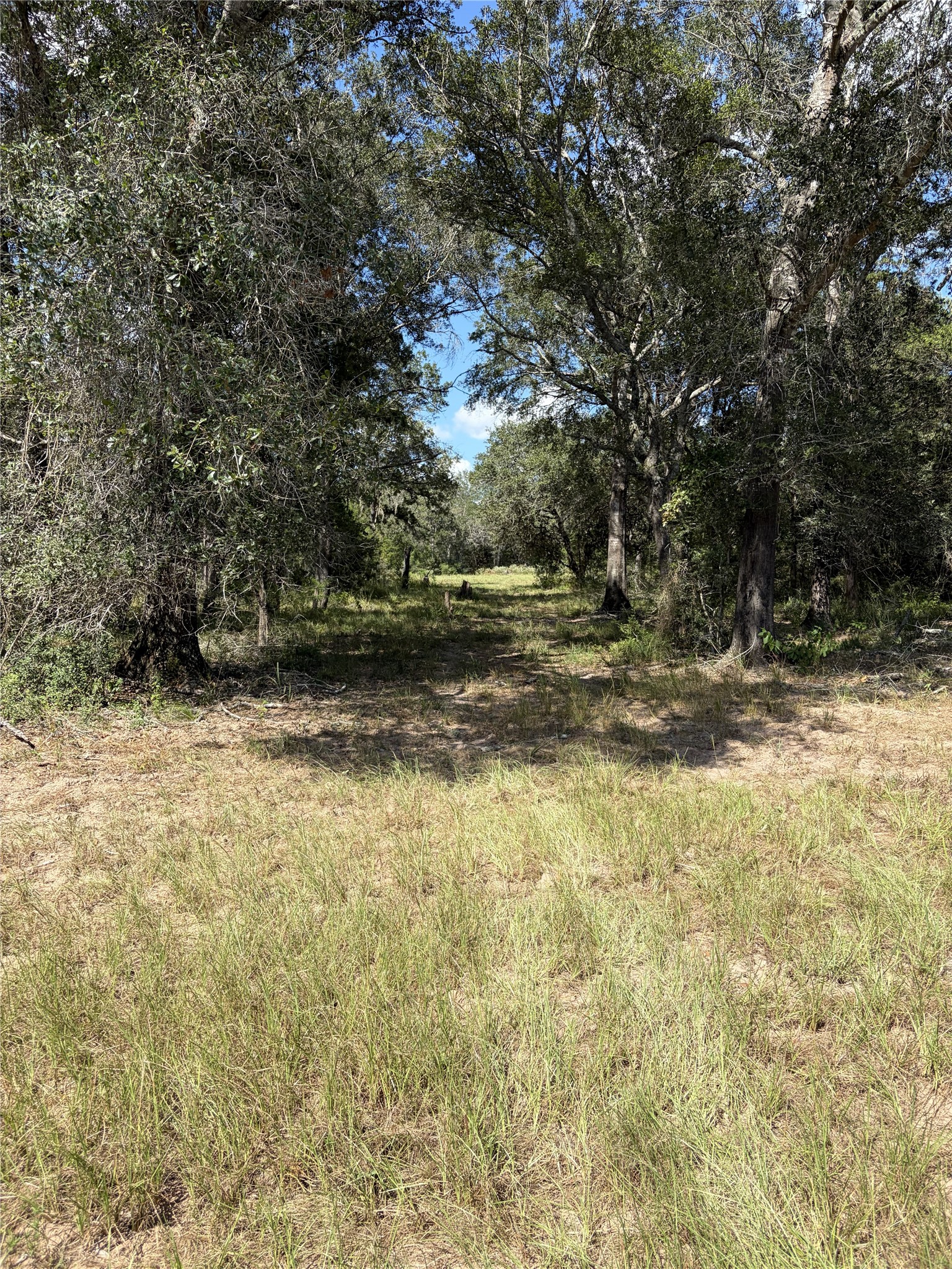 5796 County Road 122 Property Photo 20