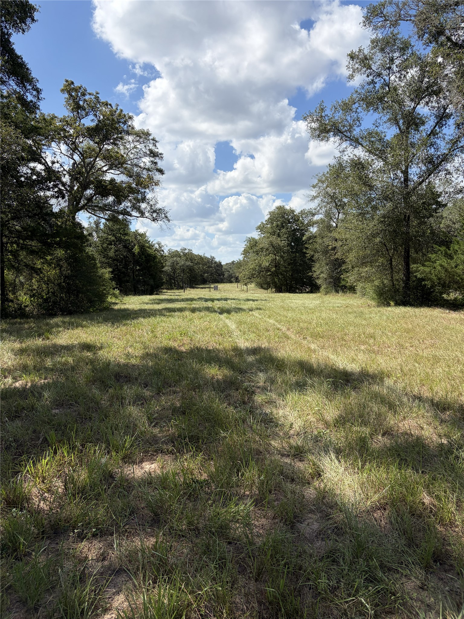 5796 County Road 122 Property Photo 21