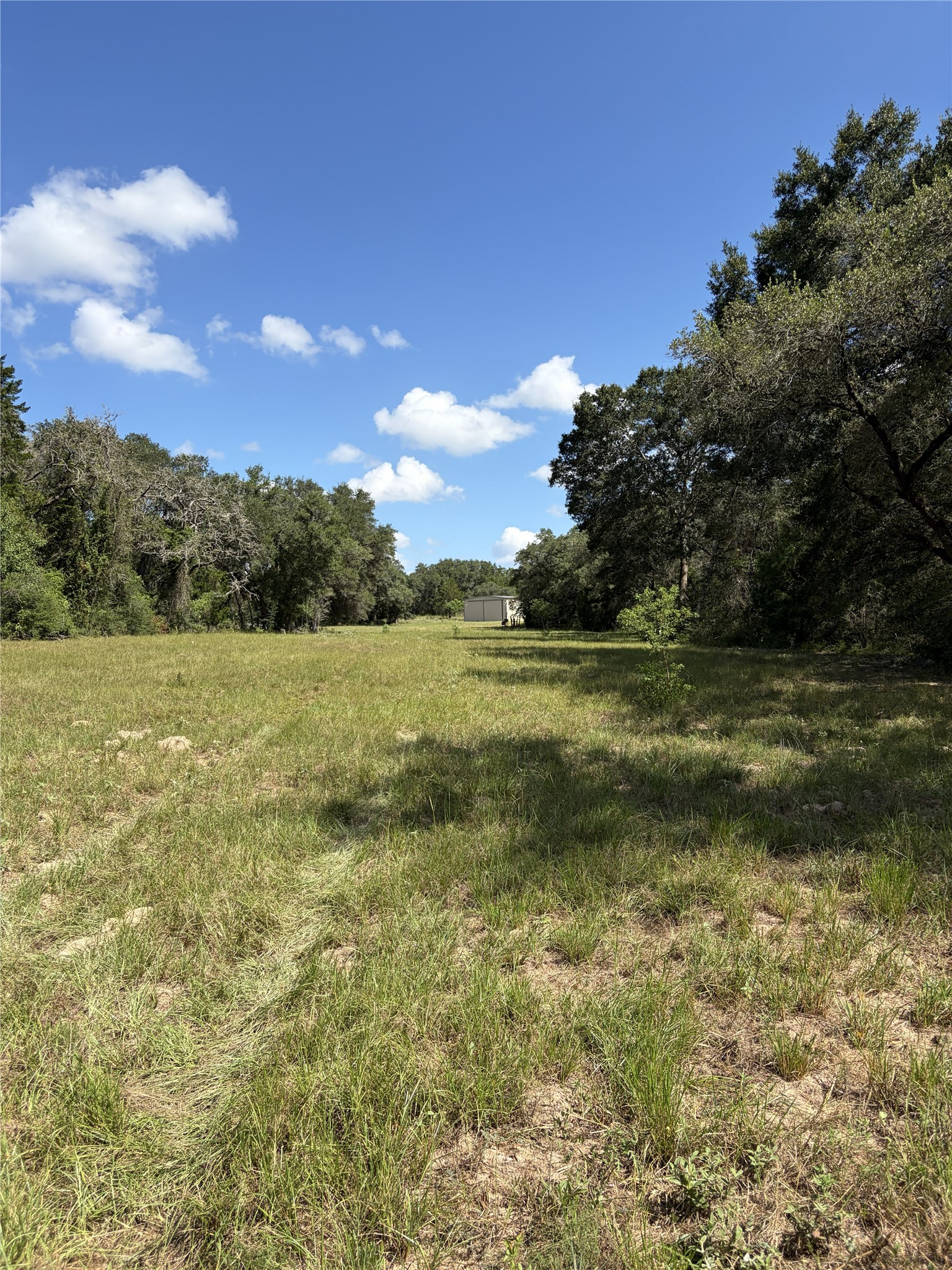 5796 County Road 122 Property Photo 22