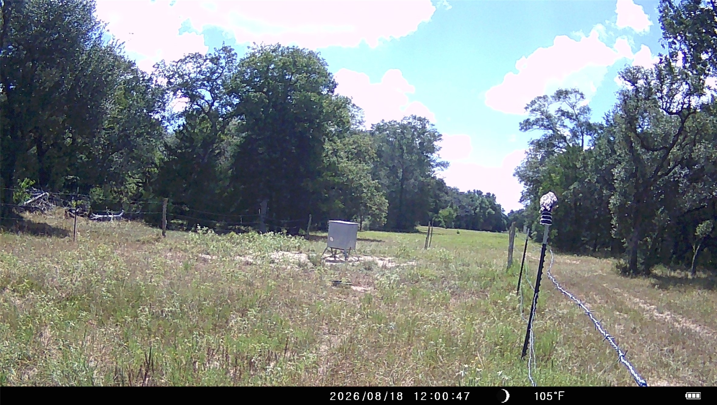 5796 County Road 122 Property Photo 24