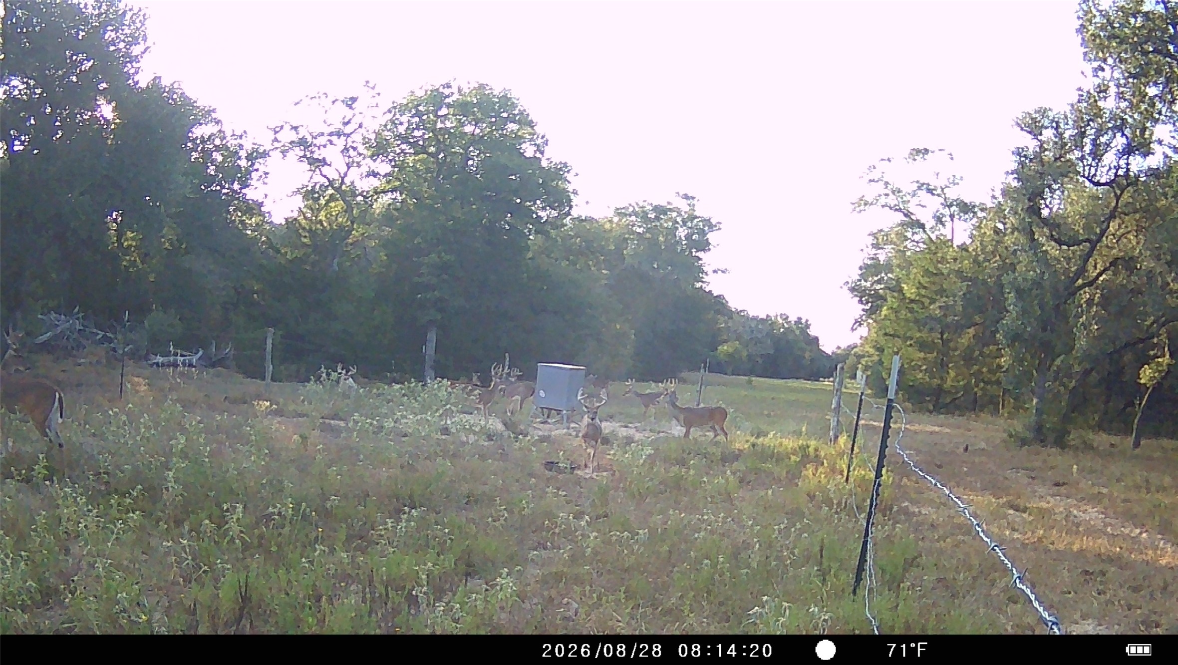 5796 County Road 122 Property Photo 27