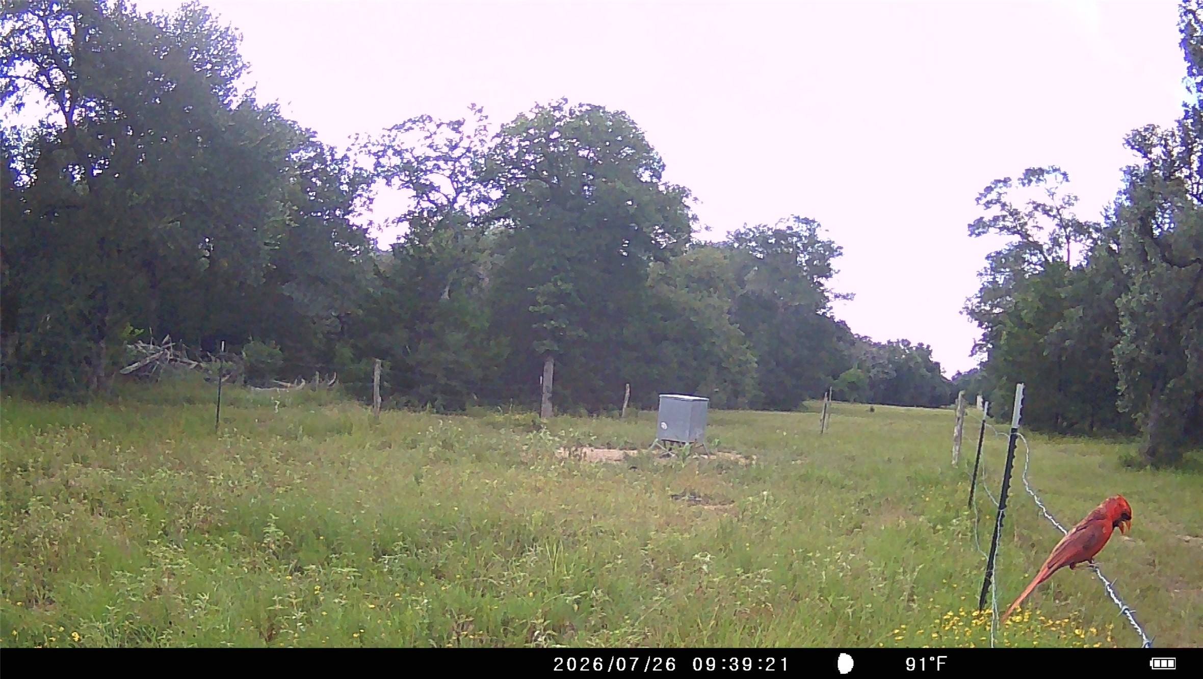 5796 County Road 122 Property Photo 29