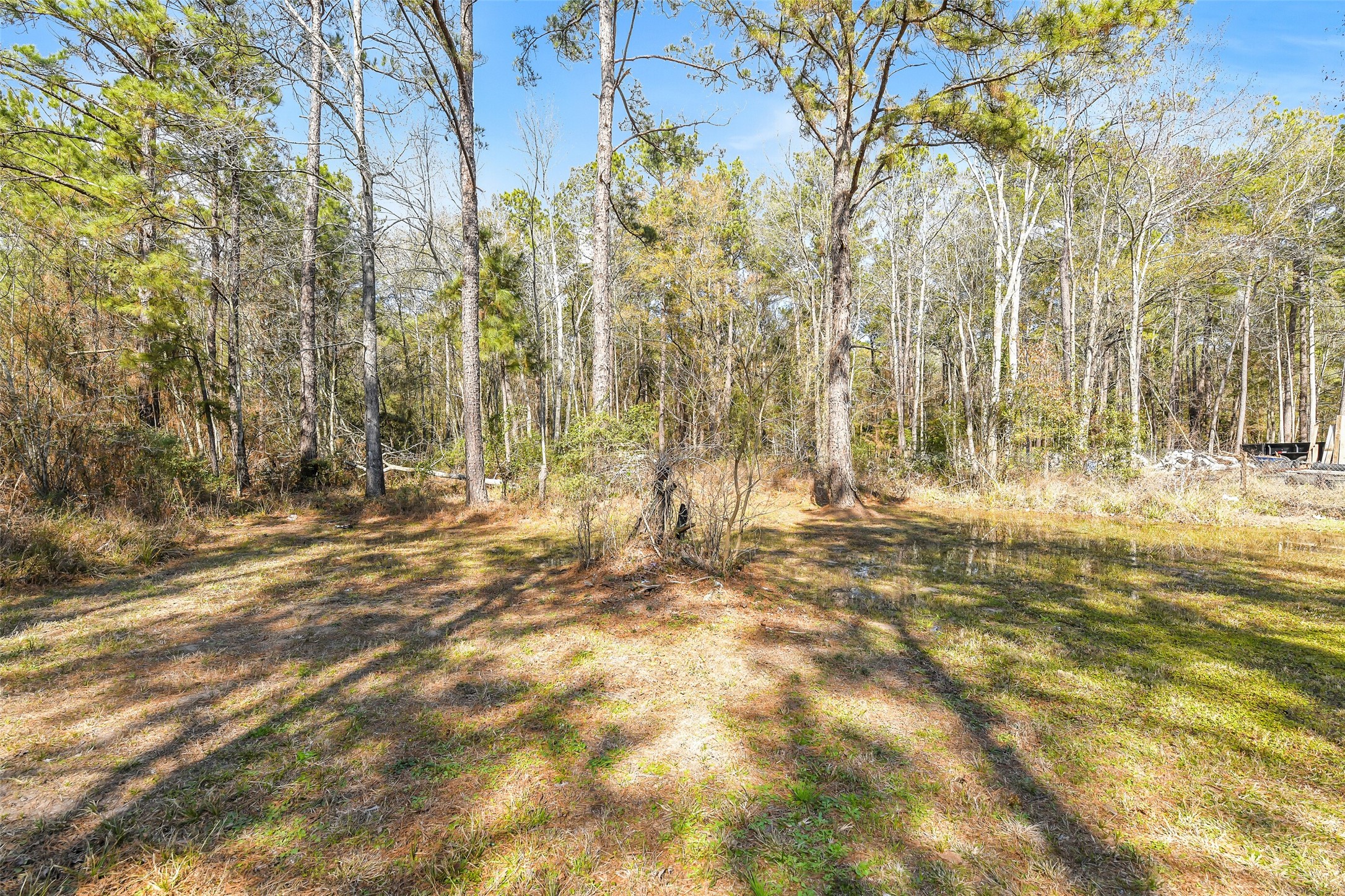 21507 Juliann Alyes Property Photo 6