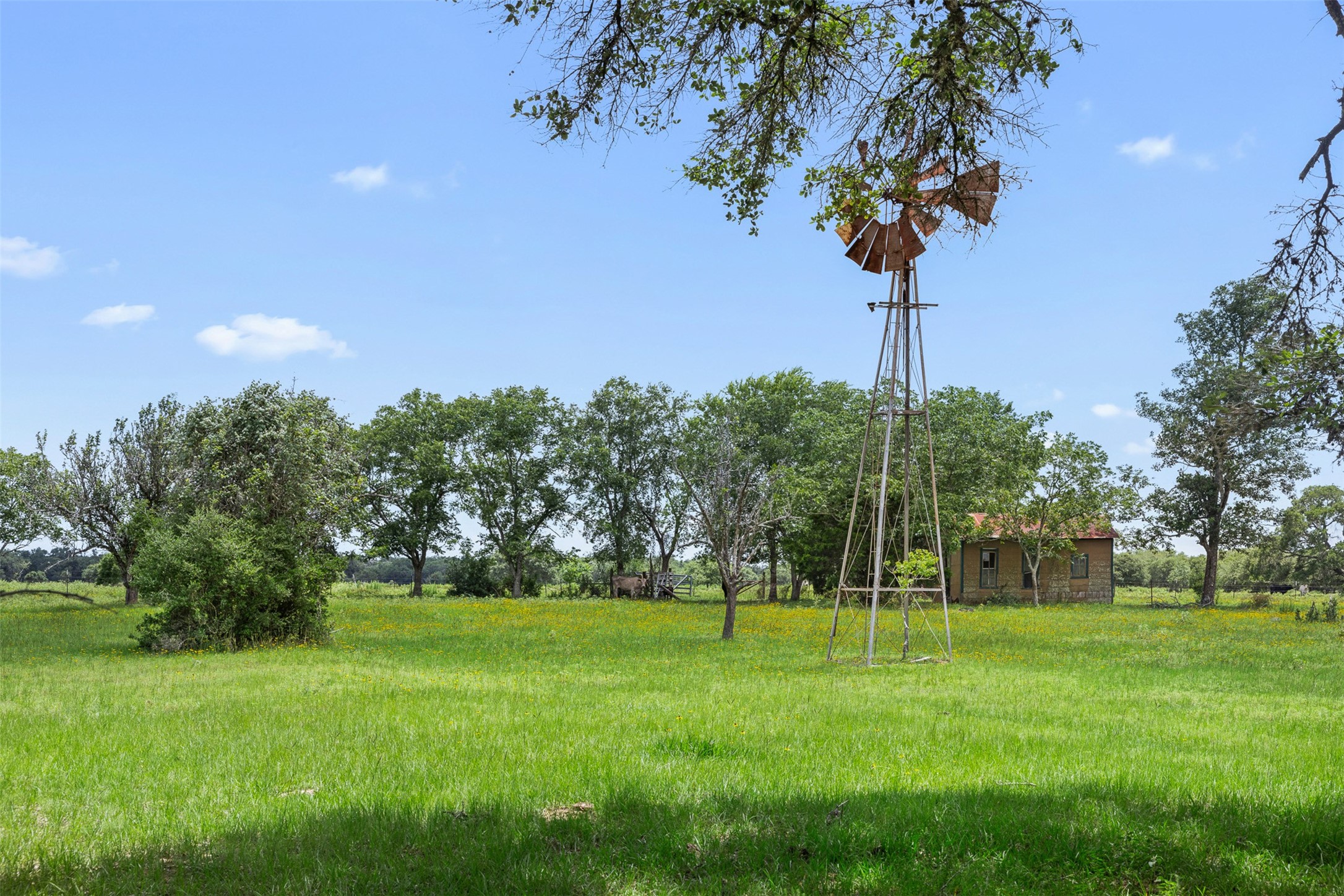 1222 Cr 2152 Property Photo 19