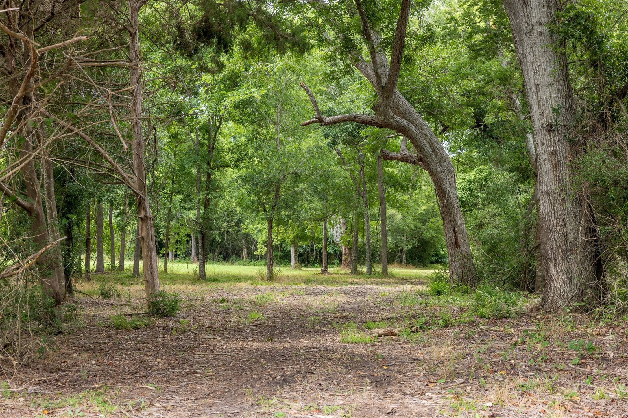 745 Ives Creek Road