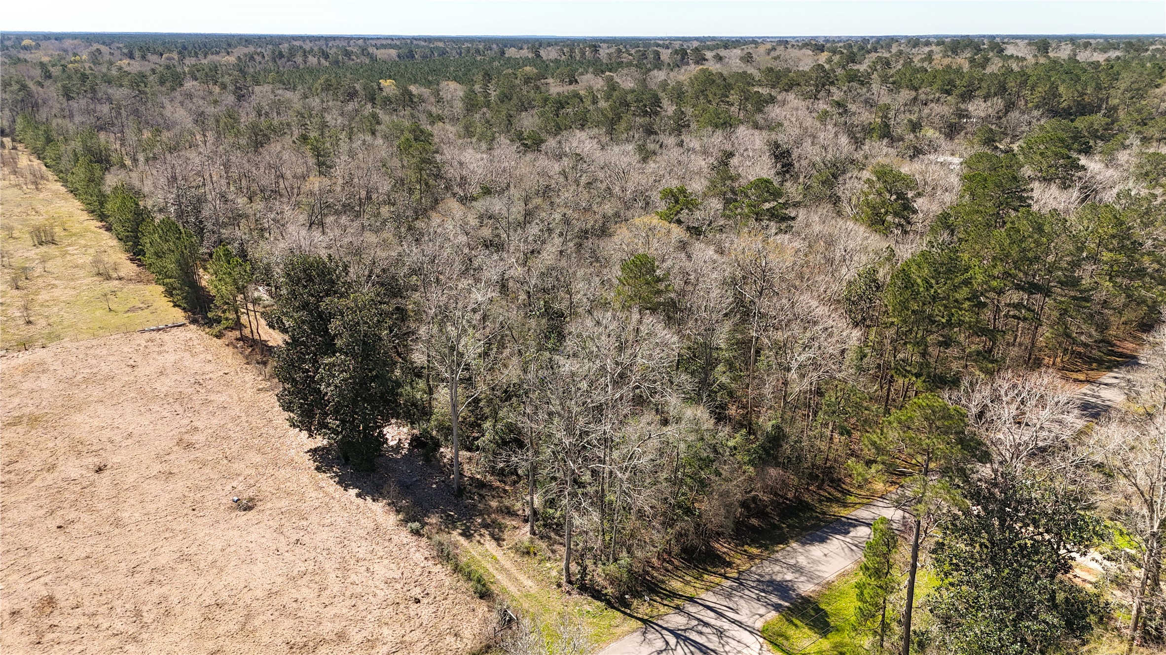 A144 Willliam Hays Real Estate Listings Main Image