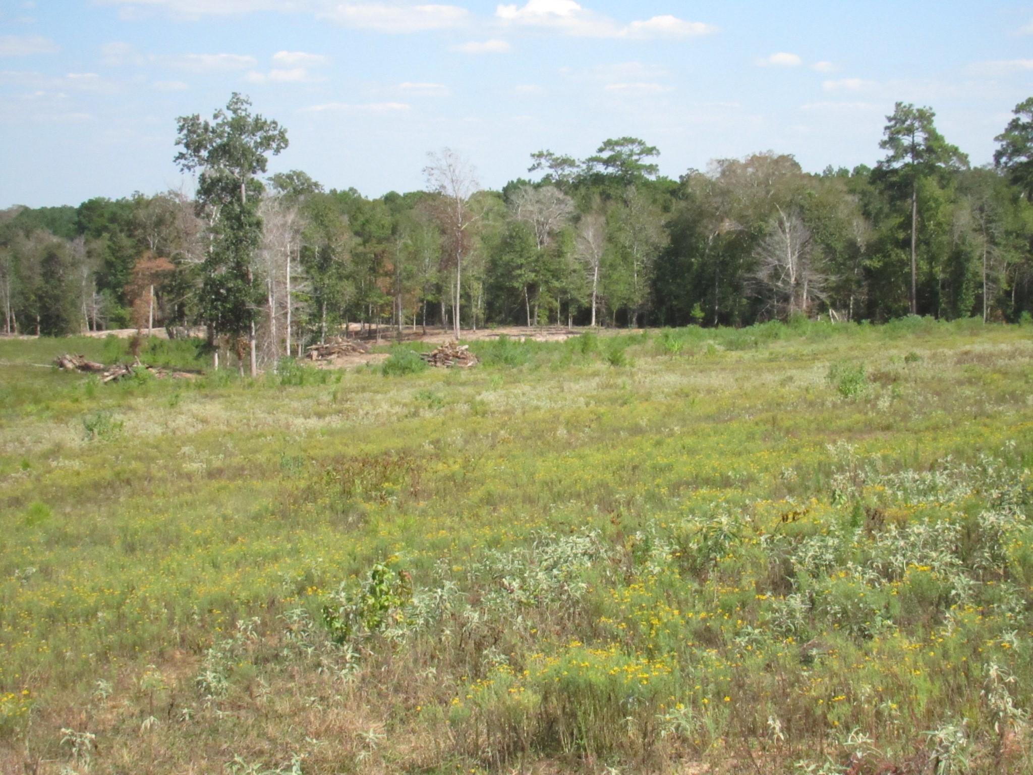000 20 Fm256 N Property Photo 6