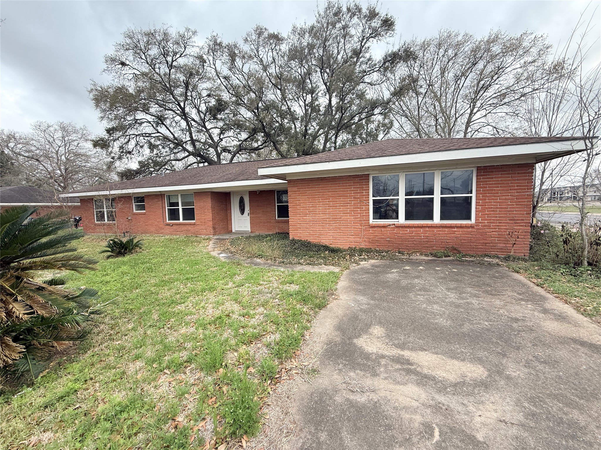 4100 Mockingbird Lane Property Photo 1