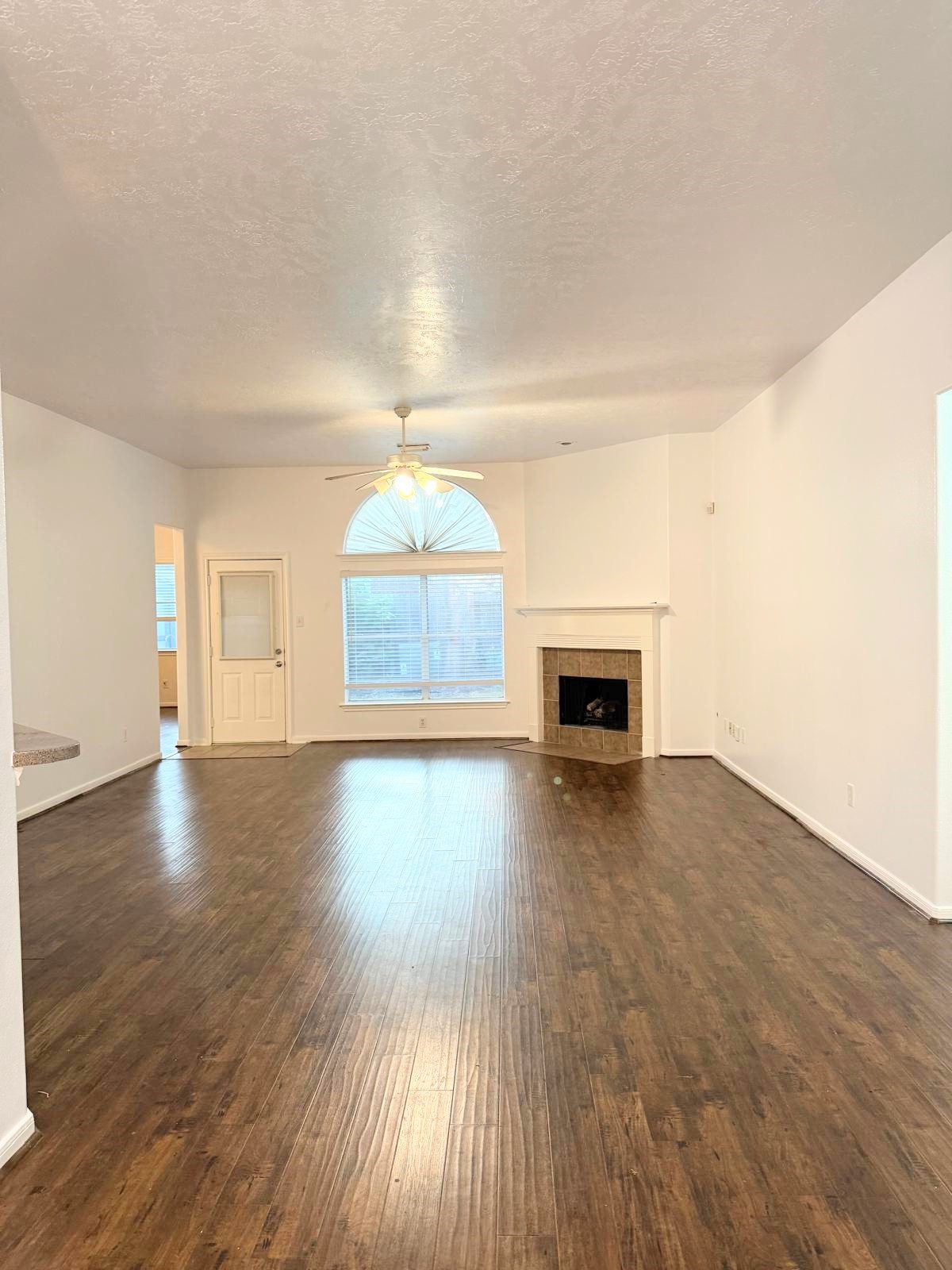21731 Hannover Ridge Drive Property Photo 4