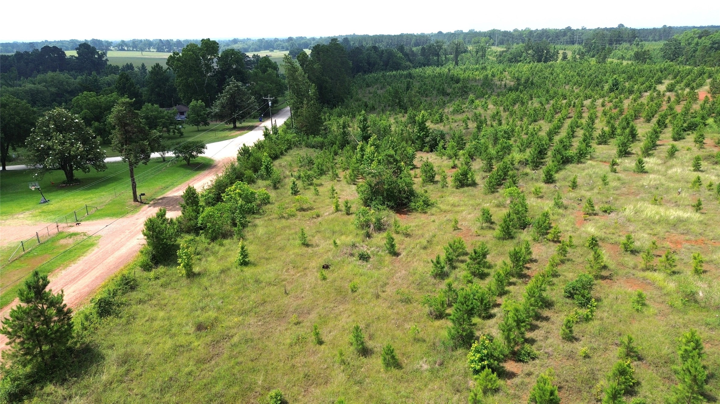 Tbd County Road 1830 Property Photo 1