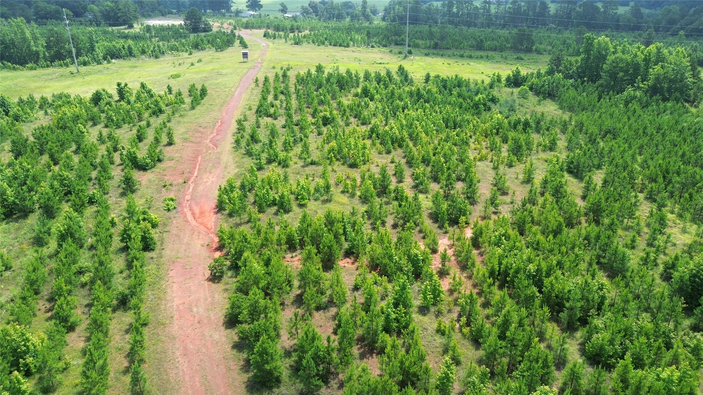 Tbd County Road 1830 Property Photo 3