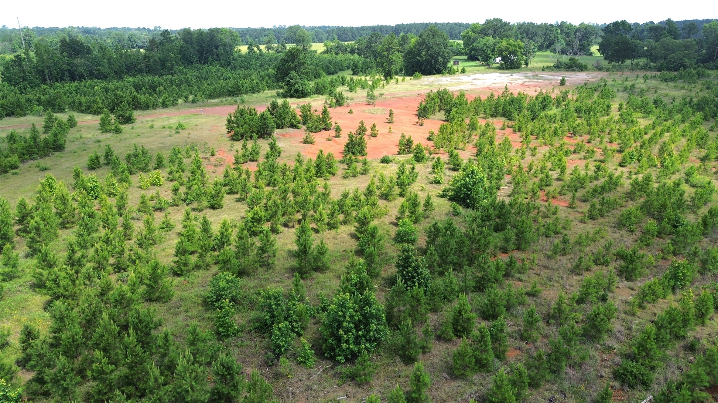Tbd County Road 1830 Property Photo 4