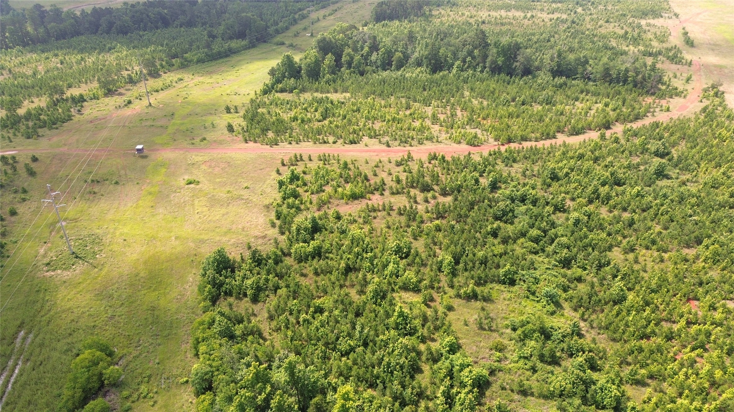 Tbd County Road 1830 Property Photo 5