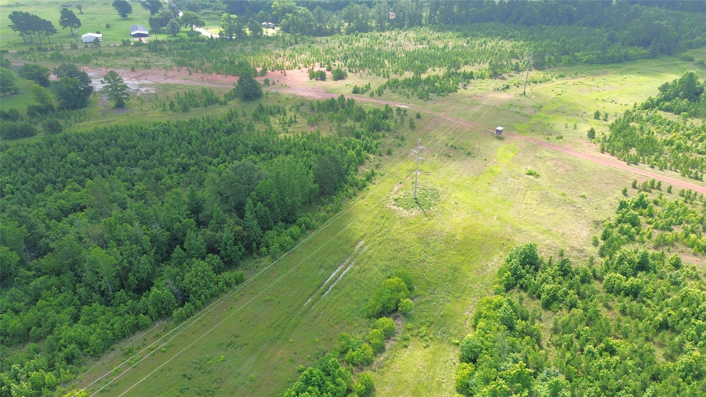 Tbd County Road 1830 Property Photo 6