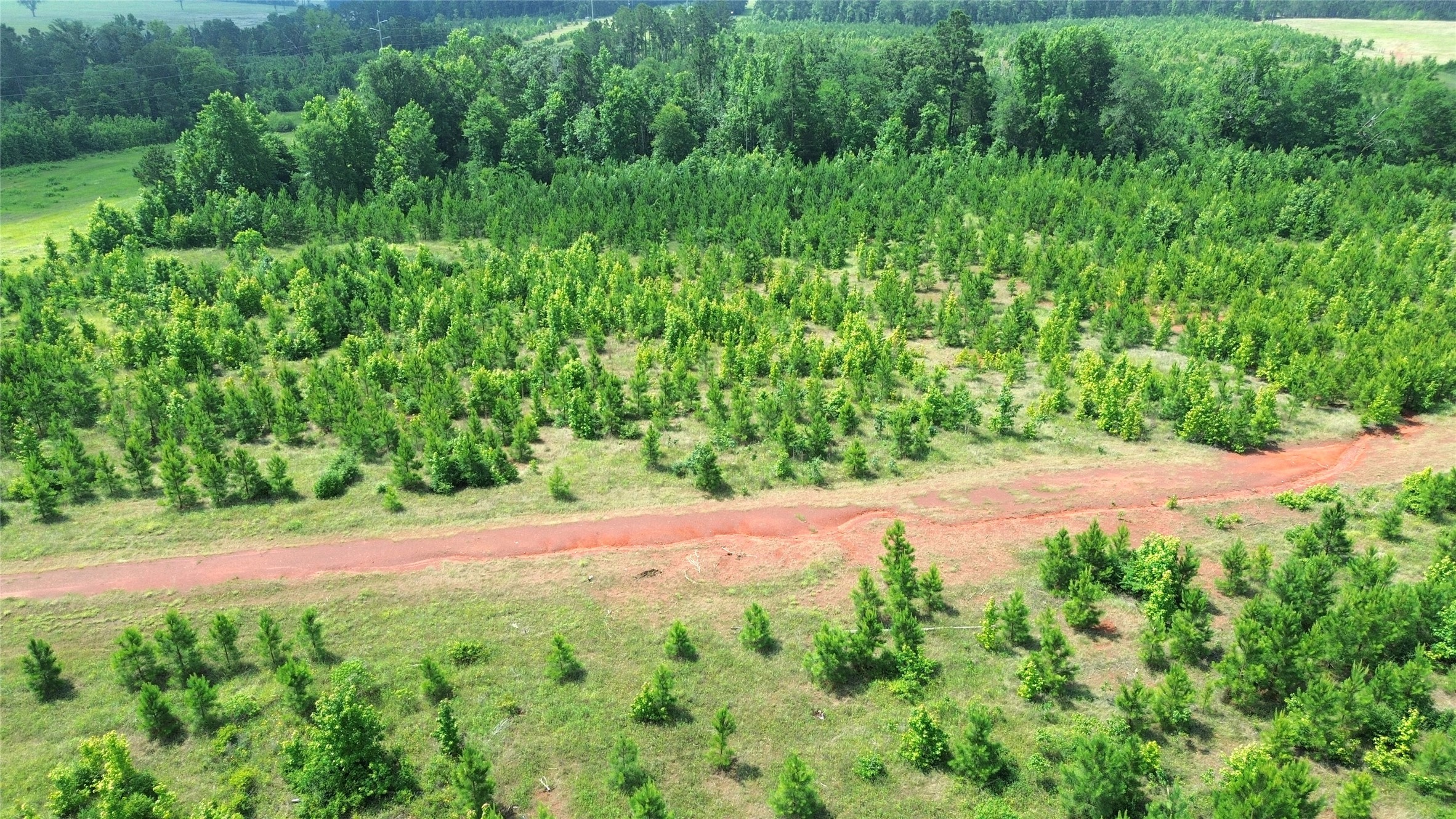 Tbd County Road 1830 Property Photo 7