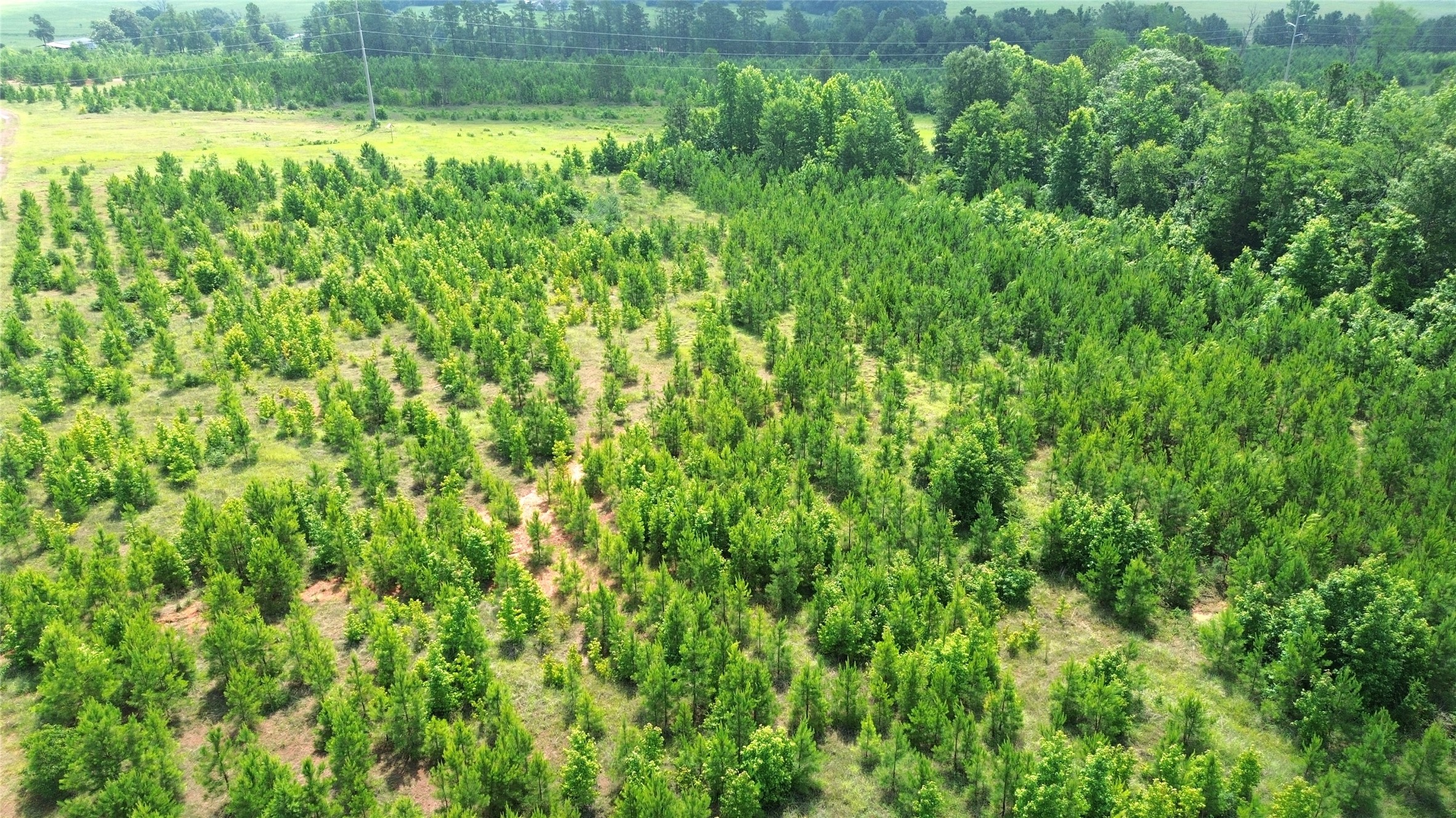 Tbd County Road 1830 Property Photo 8