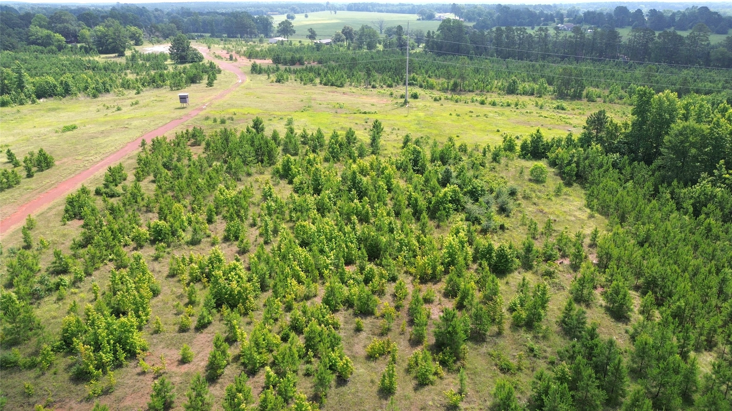 Tbd County Road 1830 Property Photo 9