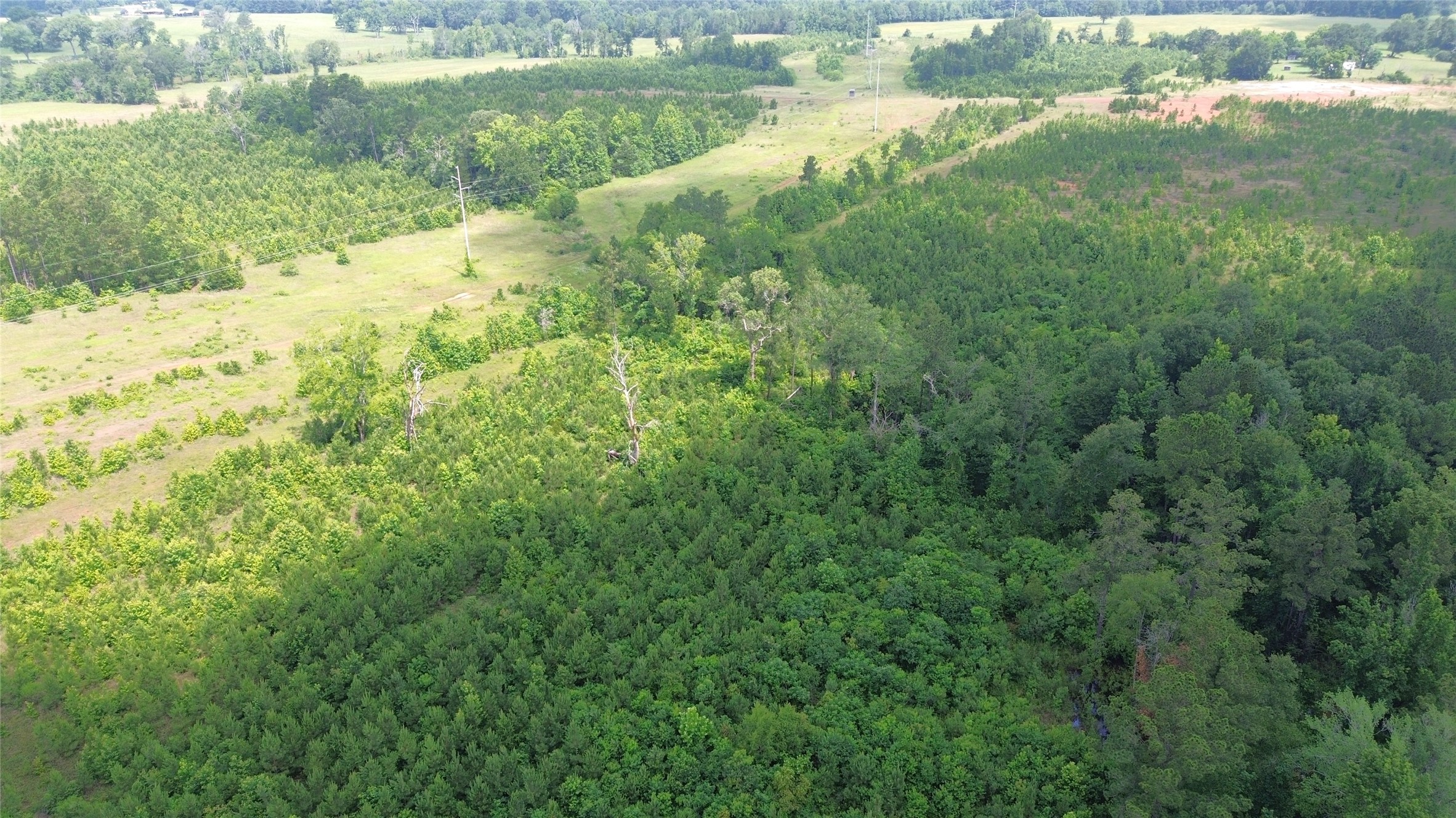 Tbd County Road 1830 Property Photo 12