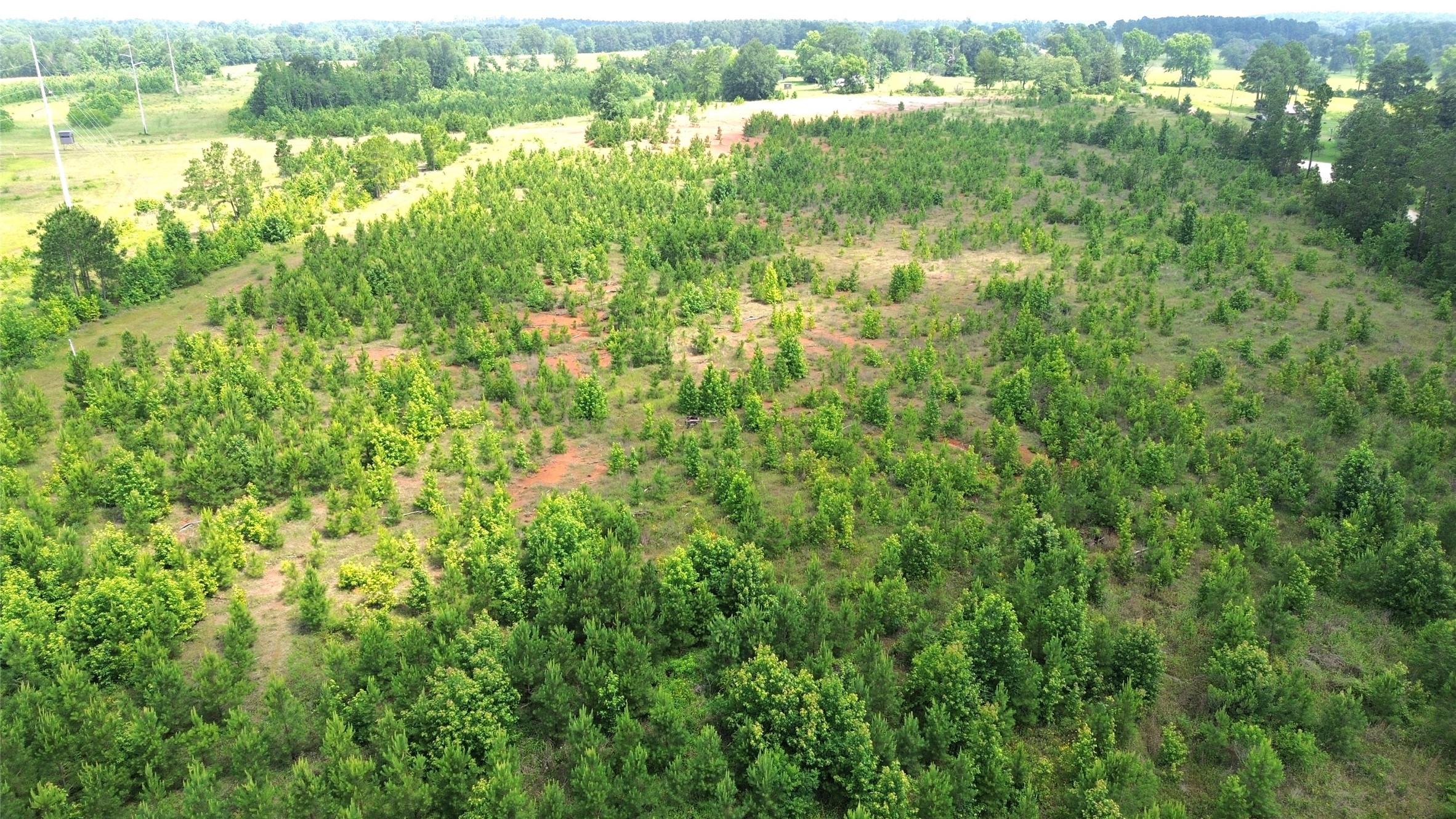 Tbd County Road 1830 Property Photo 13