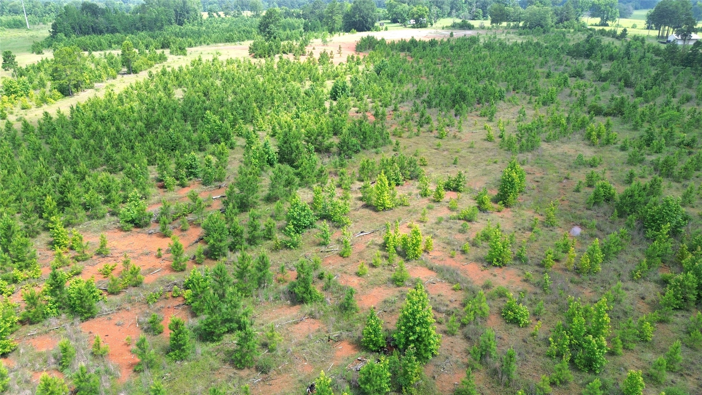 Tbd County Road 1830 Property Photo 14