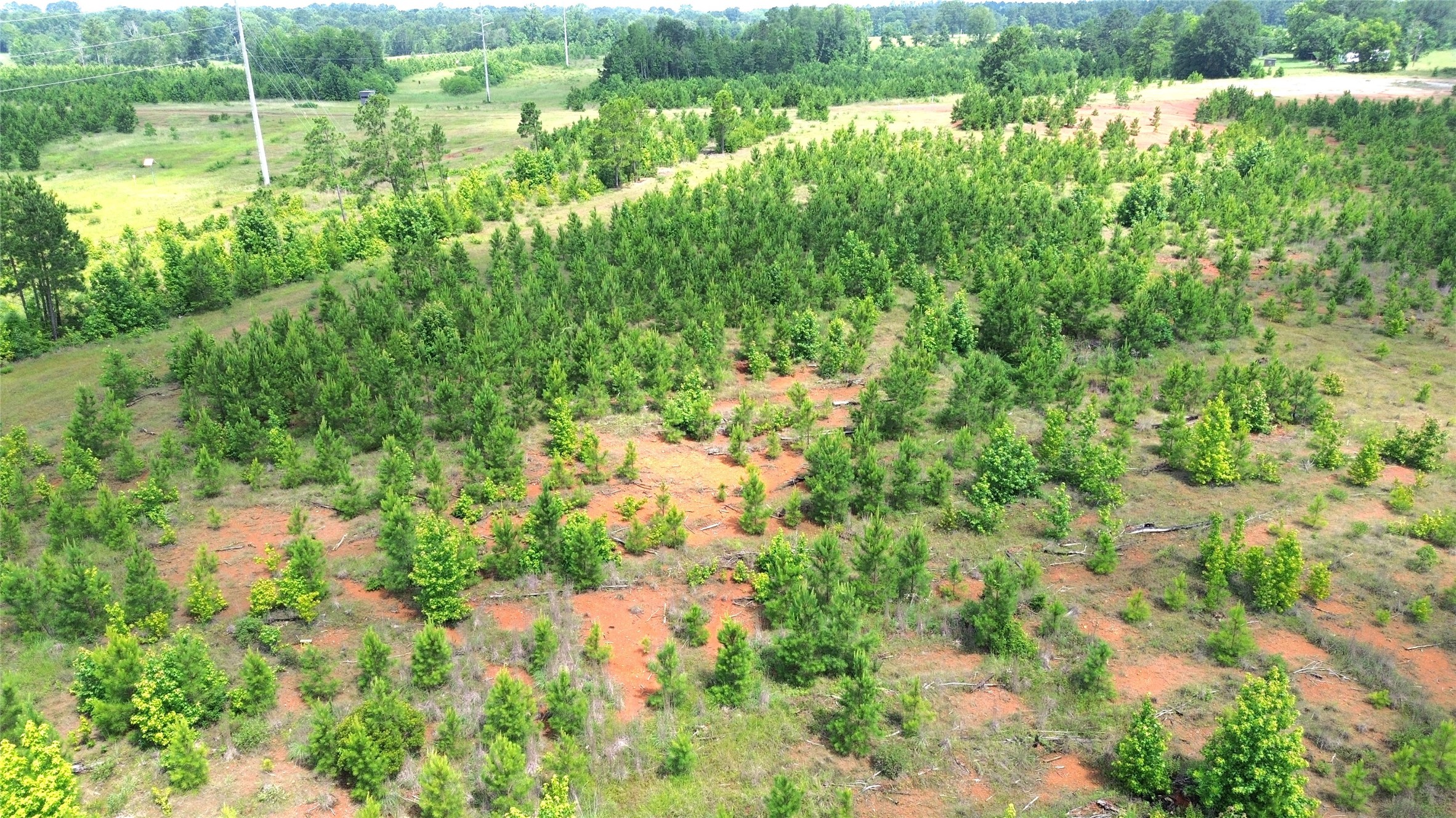 Tbd County Road 1830 Property Photo 15